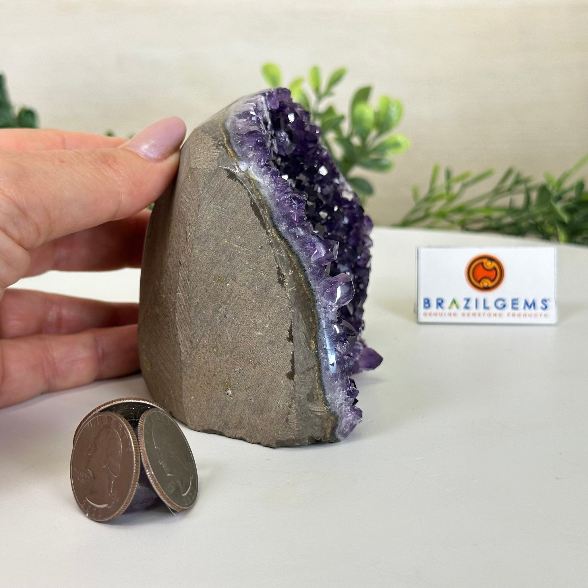 Small Extra Plus Quality Amethyst Cluster Flat Base, 3.3" Tall 5611 - 0919 - Brazil GemsBrazil GemsSmall Extra Plus Quality Amethyst Cluster Flat Base, 3.3" Tall 5611 - 0919Small Clusters with Flat Bases5611 - 0919