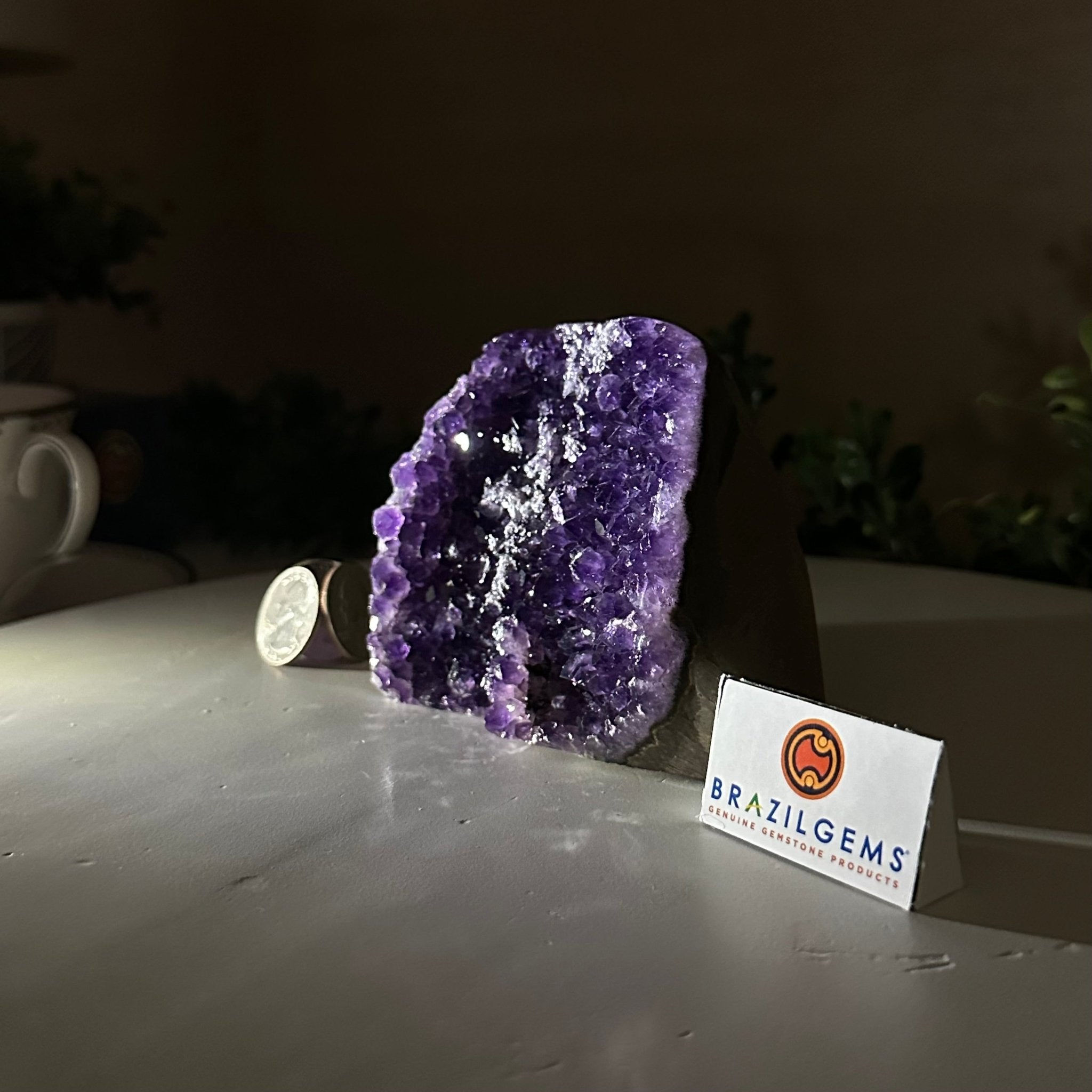 Small Extra Plus Quality Amethyst Cluster Flat Base, 3.3" Tall 5611 - 0919 - Brazil GemsBrazil GemsSmall Extra Plus Quality Amethyst Cluster Flat Base, 3.3" Tall 5611 - 0919Small Clusters with Flat Bases5611 - 0919