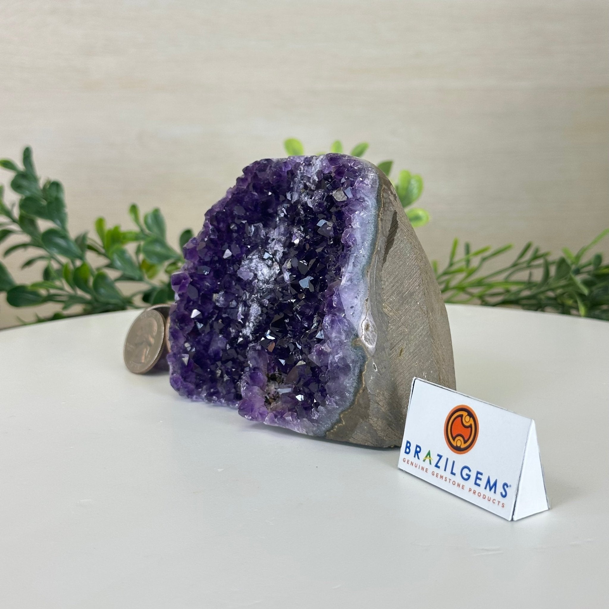 Small Extra Plus Quality Amethyst Cluster Flat Base, 3.3" Tall 5611 - 0919 - Brazil GemsBrazil GemsSmall Extra Plus Quality Amethyst Cluster Flat Base, 3.3" Tall 5611 - 0919Small Clusters with Flat Bases5611 - 0919