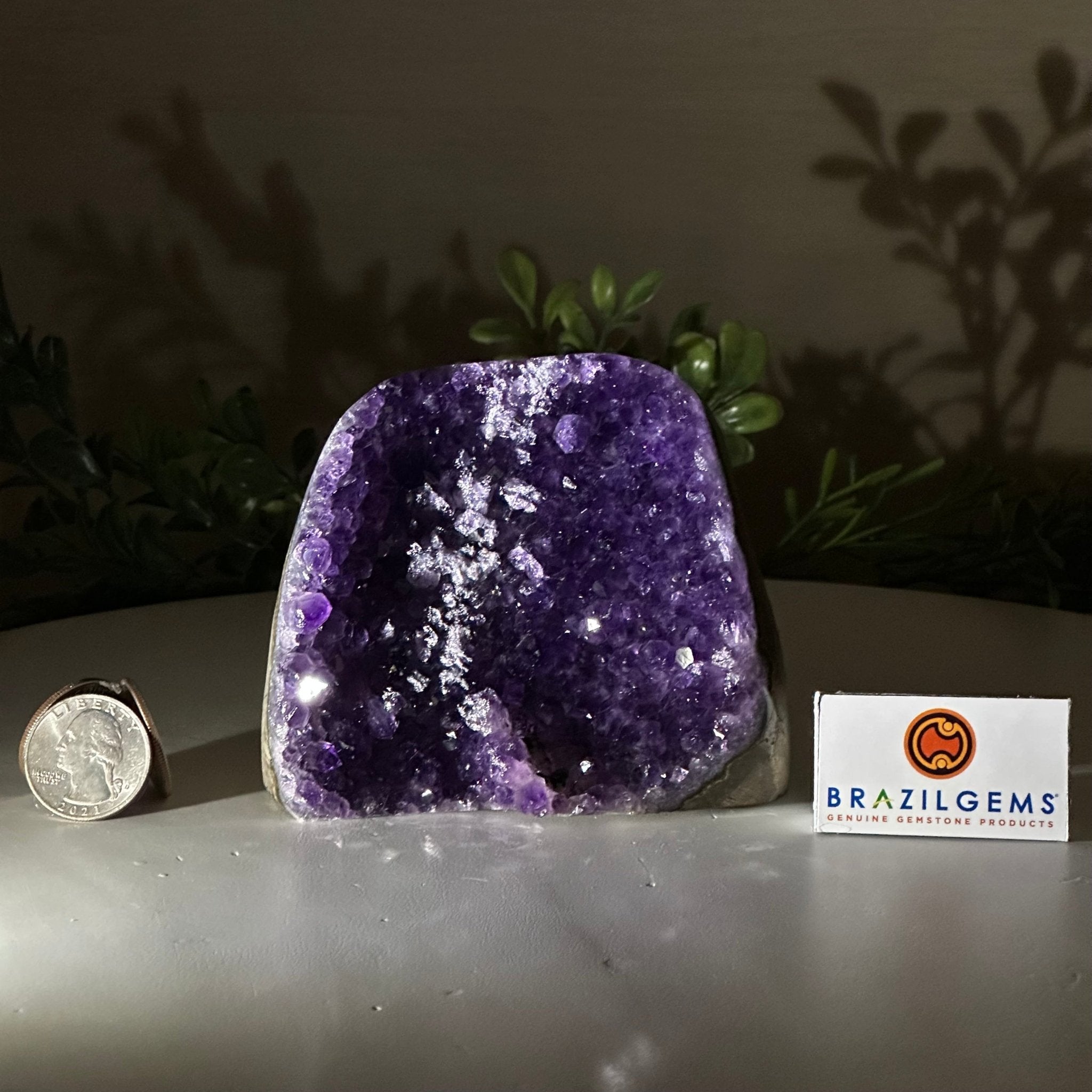 Small Extra Plus Quality Amethyst Cluster Flat Base, 3.3" Tall 5611 - 0919 - Brazil GemsBrazil GemsSmall Extra Plus Quality Amethyst Cluster Flat Base, 3.3" Tall 5611 - 0919Small Clusters with Flat Bases5611 - 0919