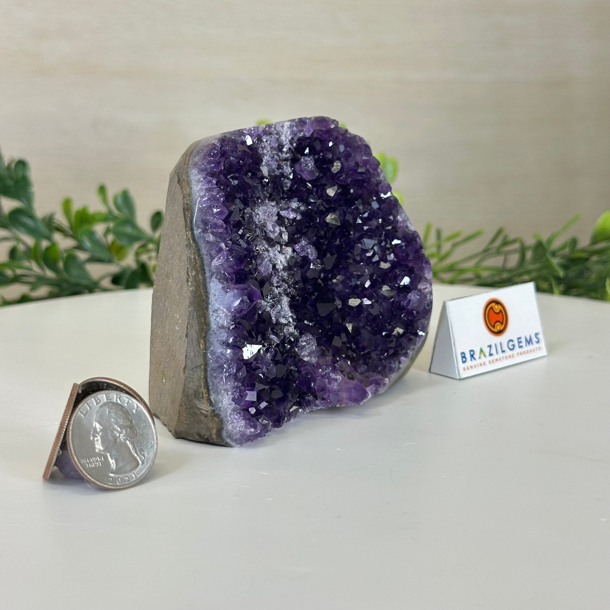 Small Extra Plus Quality Amethyst Cluster Flat Base, 3.3" Tall 5611 - 0919 - Brazil GemsBrazil GemsSmall Extra Plus Quality Amethyst Cluster Flat Base, 3.3" Tall 5611 - 0919Small Clusters with Flat Bases5611 - 0919