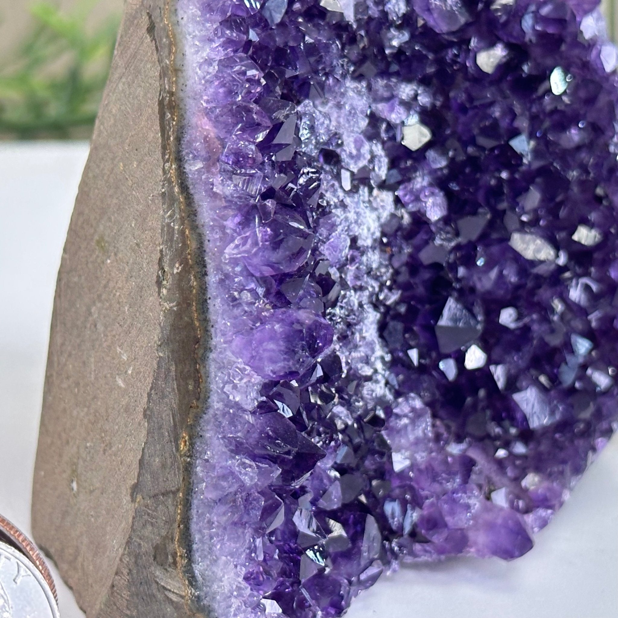 Small Extra Plus Quality Amethyst Cluster Flat Base, 3.3" Tall 5611 - 0919 - Brazil GemsBrazil GemsSmall Extra Plus Quality Amethyst Cluster Flat Base, 3.3" Tall 5611 - 0919Small Clusters with Flat Bases5611 - 0919
