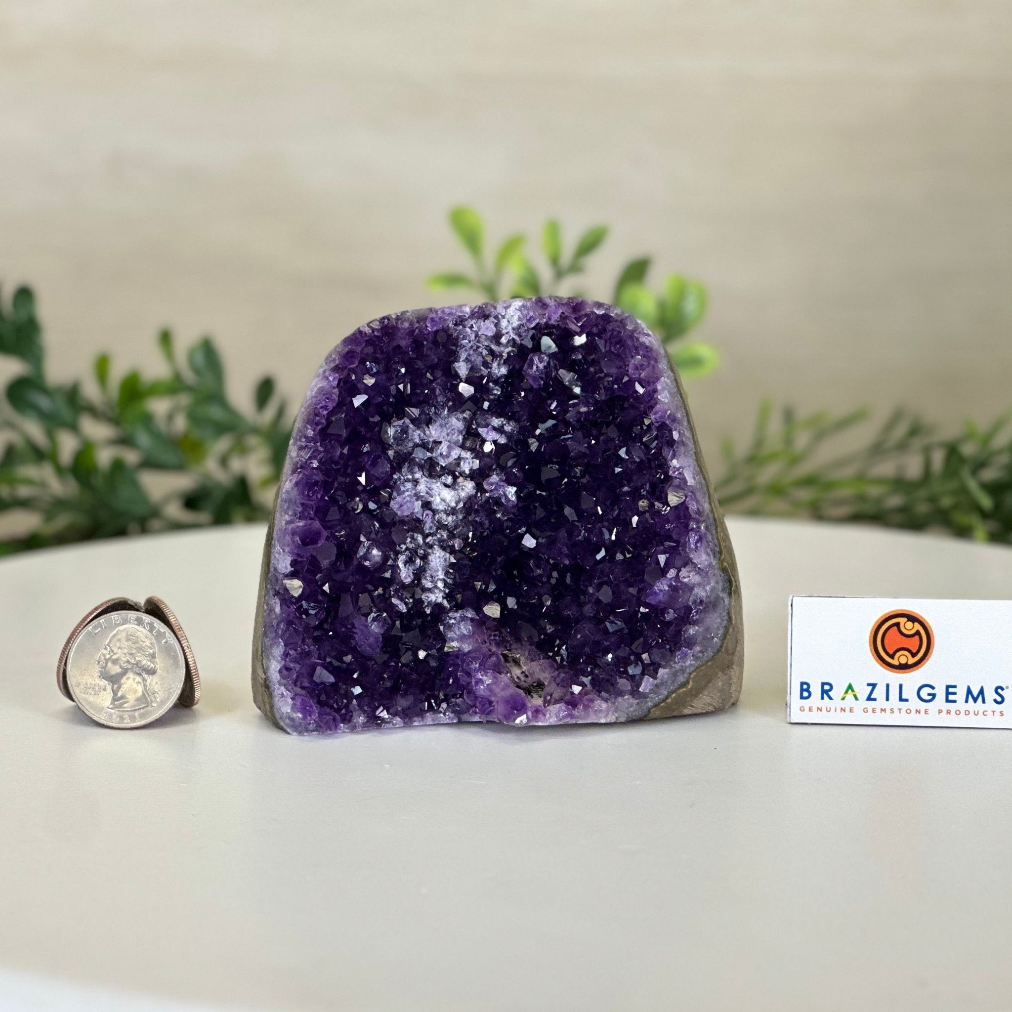 Small Extra Plus Quality Amethyst Cluster Flat Base, 3.3" Tall 5611 - 0919 - Brazil GemsBrazil GemsSmall Extra Plus Quality Amethyst Cluster Flat Base, 3.3" Tall 5611 - 0919Small Clusters with Flat Bases5611 - 0919