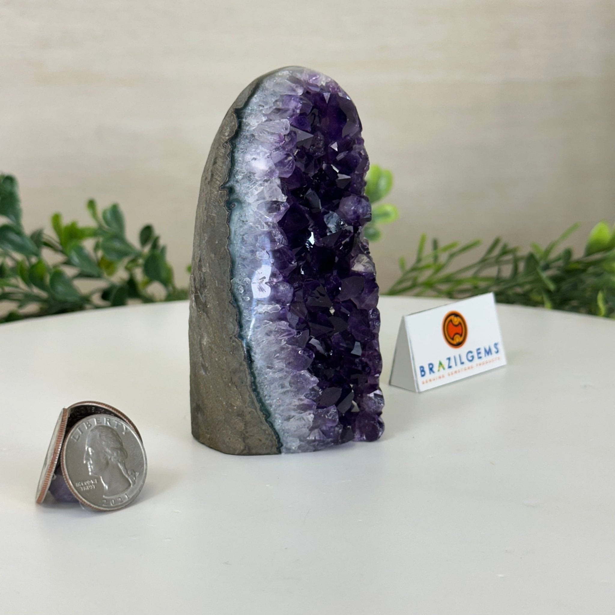 Small Extra Plus Quality Amethyst Cluster Flat Base, 4.2" Tall 5611 - 0914 - Brazil GemsBrazil GemsSmall Extra Plus Quality Amethyst Cluster Flat Base, 4.2" Tall 5611 - 0914Small Clusters with Flat Bases5611 - 0914