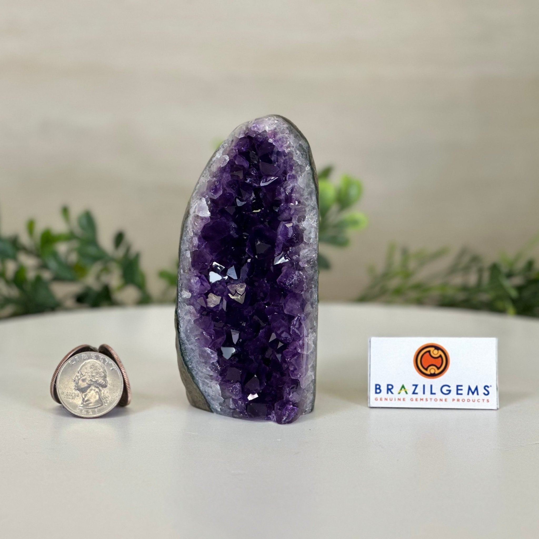 Small Extra Plus Quality Amethyst Cluster Flat Base, 4.2" Tall 5611 - 0914 - Brazil GemsBrazil GemsSmall Extra Plus Quality Amethyst Cluster Flat Base, 4.2" Tall 5611 - 0914Small Clusters with Flat Bases5611 - 0914