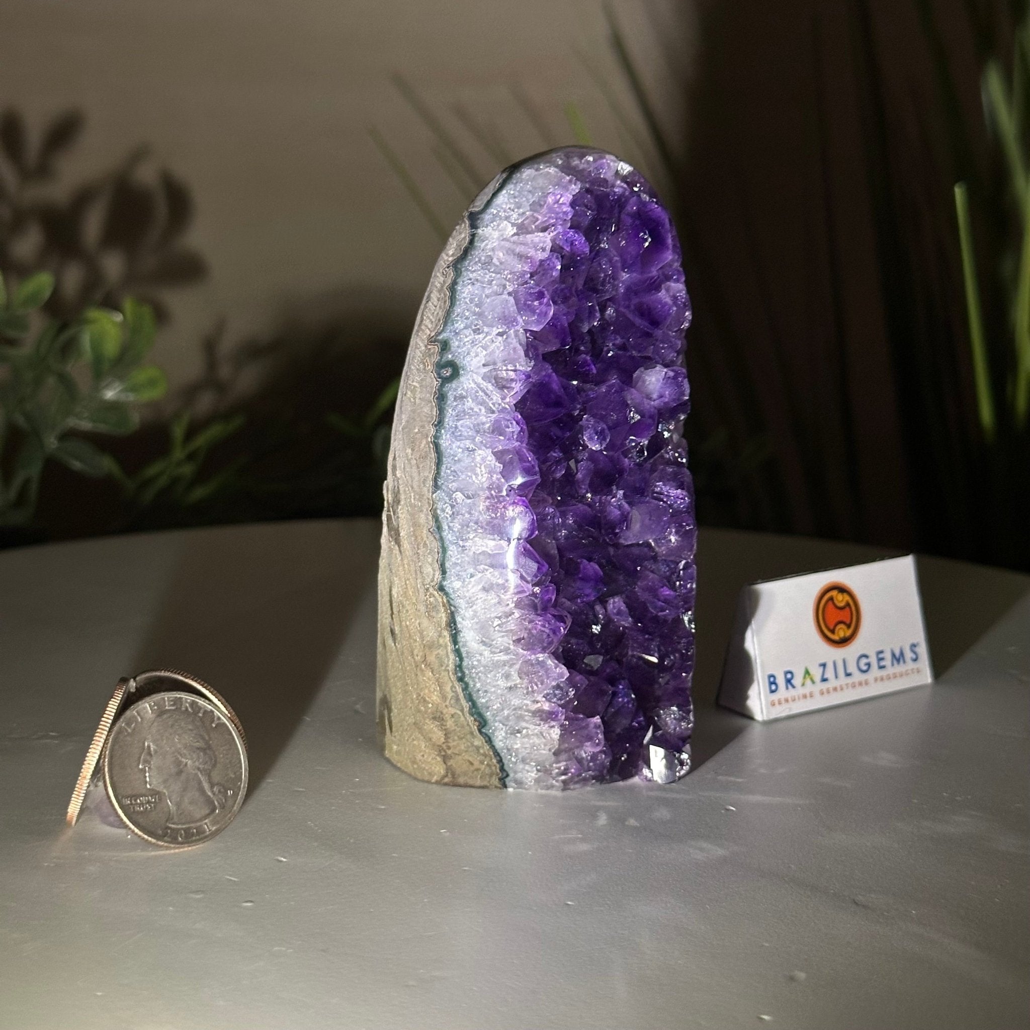 Small Extra Plus Quality Amethyst Cluster Flat Base, 4.2" Tall 5611 - 0914 - Brazil GemsBrazil GemsSmall Extra Plus Quality Amethyst Cluster Flat Base, 4.2" Tall 5611 - 0914Small Clusters with Flat Bases5611 - 0914