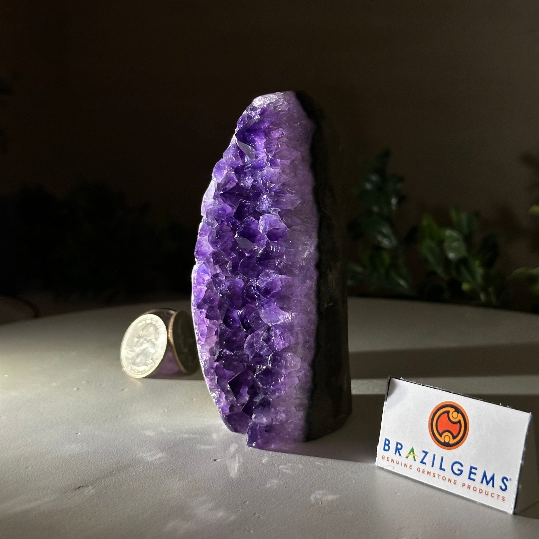 Small Extra Plus Quality Amethyst Cluster Flat Base, 4.2" Tall 5611 - 0914 - Brazil GemsBrazil GemsSmall Extra Plus Quality Amethyst Cluster Flat Base, 4.2" Tall 5611 - 0914Small Clusters with Flat Bases5611 - 0914
