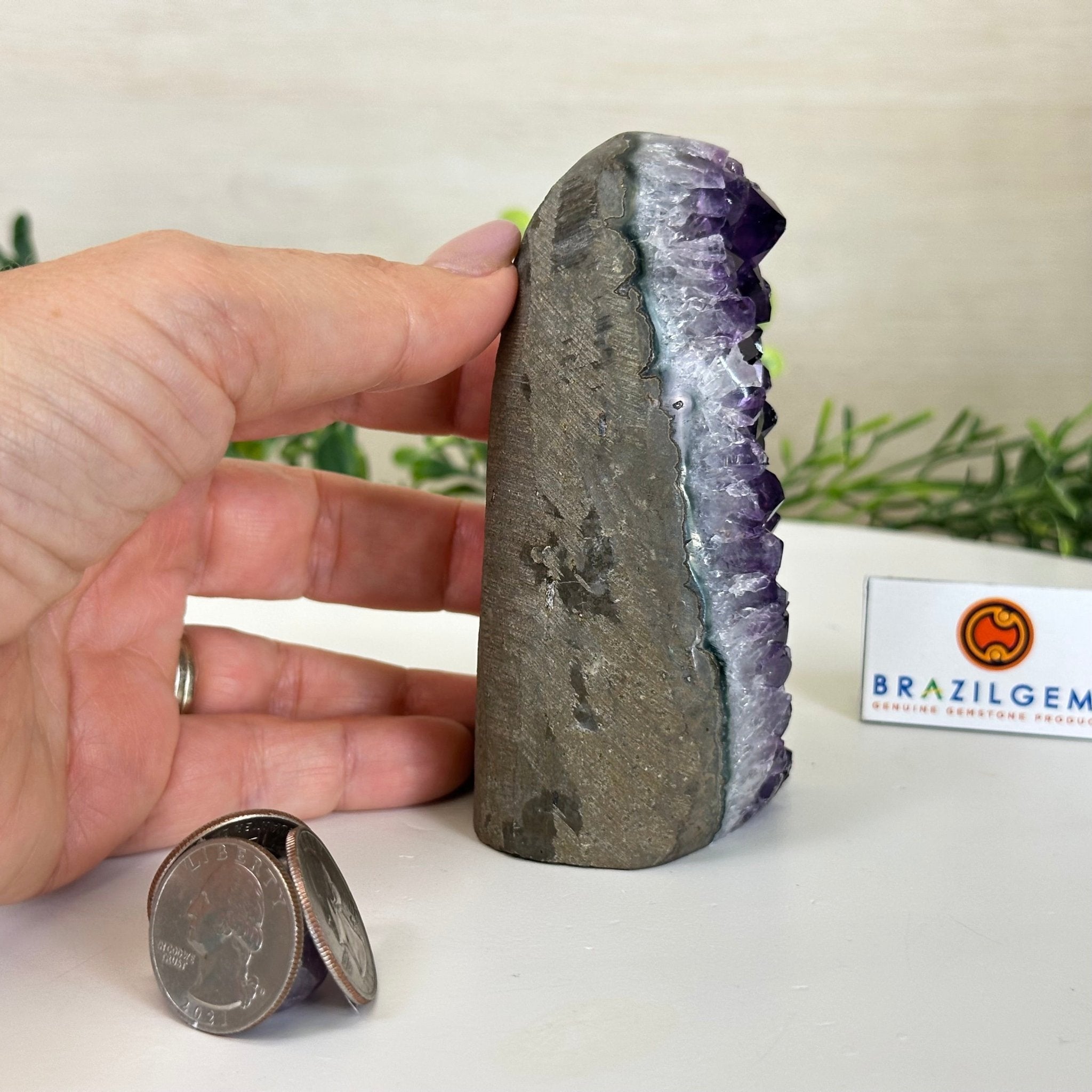Small Extra Plus Quality Amethyst Cluster Flat Base, 4.2" Tall 5611 - 0914 - Brazil GemsBrazil GemsSmall Extra Plus Quality Amethyst Cluster Flat Base, 4.2" Tall 5611 - 0914Small Clusters with Flat Bases5611 - 0914