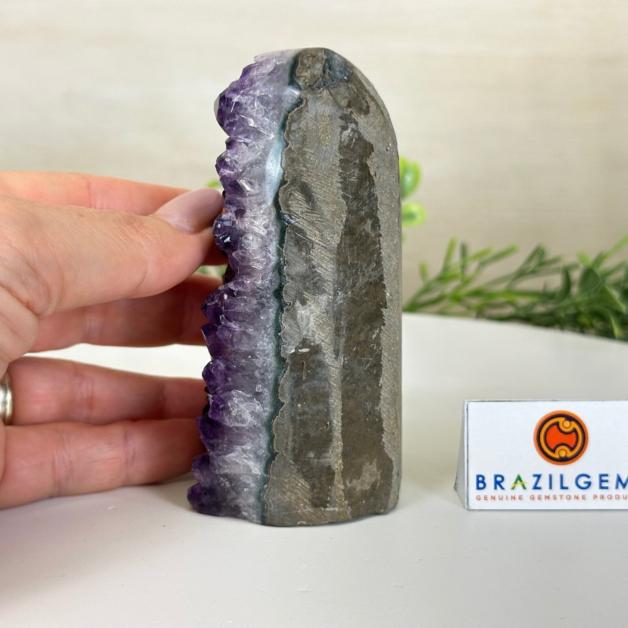 Small Extra Plus Quality Amethyst Cluster Flat Base, 4.2" Tall 5611 - 0914 - Brazil GemsBrazil GemsSmall Extra Plus Quality Amethyst Cluster Flat Base, 4.2" Tall 5611 - 0914Small Clusters with Flat Bases5611 - 0914
