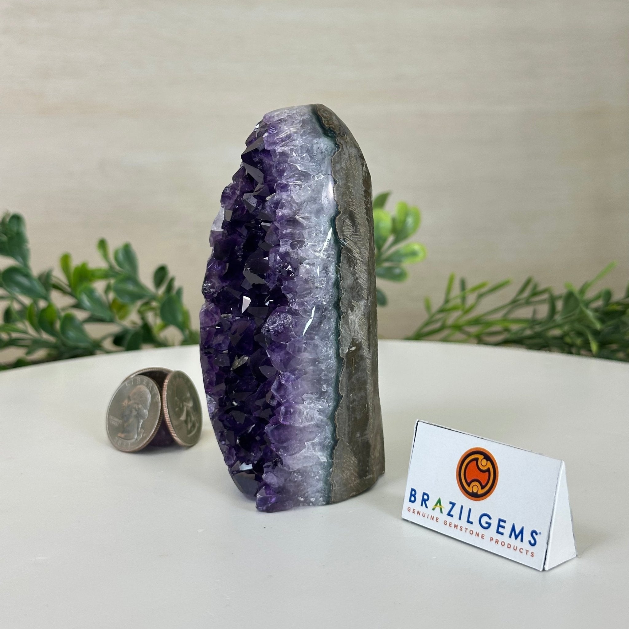 Small Extra Plus Quality Amethyst Cluster Flat Base, 4.2" Tall 5611 - 0914 - Brazil GemsBrazil GemsSmall Extra Plus Quality Amethyst Cluster Flat Base, 4.2" Tall 5611 - 0914Small Clusters with Flat Bases5611 - 0914