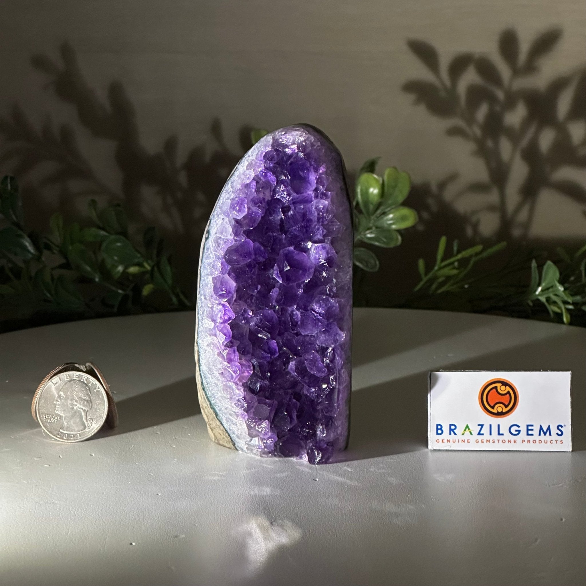 Small Extra Plus Quality Amethyst Cluster Flat Base, 4.2" Tall 5611 - 0914 - Brazil GemsBrazil GemsSmall Extra Plus Quality Amethyst Cluster Flat Base, 4.2" Tall 5611 - 0914Small Clusters with Flat Bases5611 - 0914