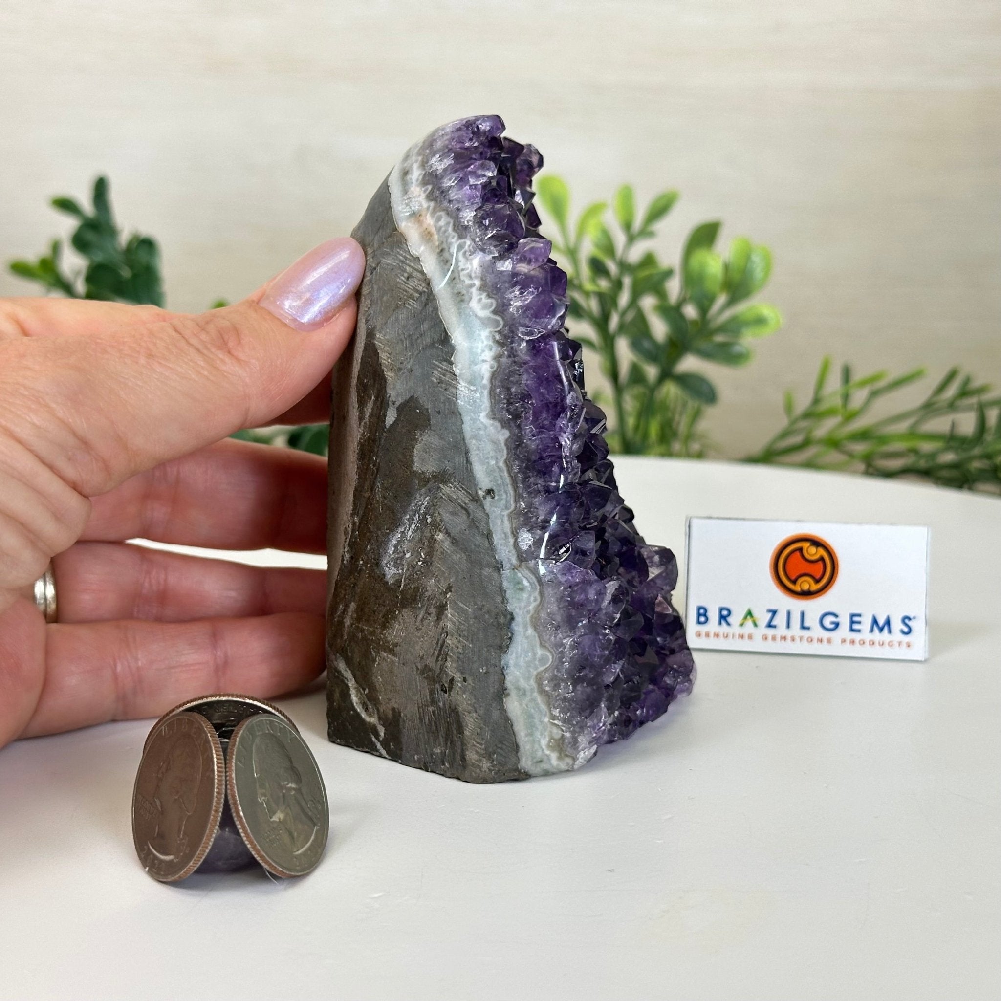 Small Extra Plus Quality Amethyst Cluster Flat Base, 4.2" Tall 5611 - 0917 - Brazil GemsBrazil GemsSmall Extra Plus Quality Amethyst Cluster Flat Base, 4.2" Tall 5611 - 0917Small Clusters with Flat Bases5611 - 0917