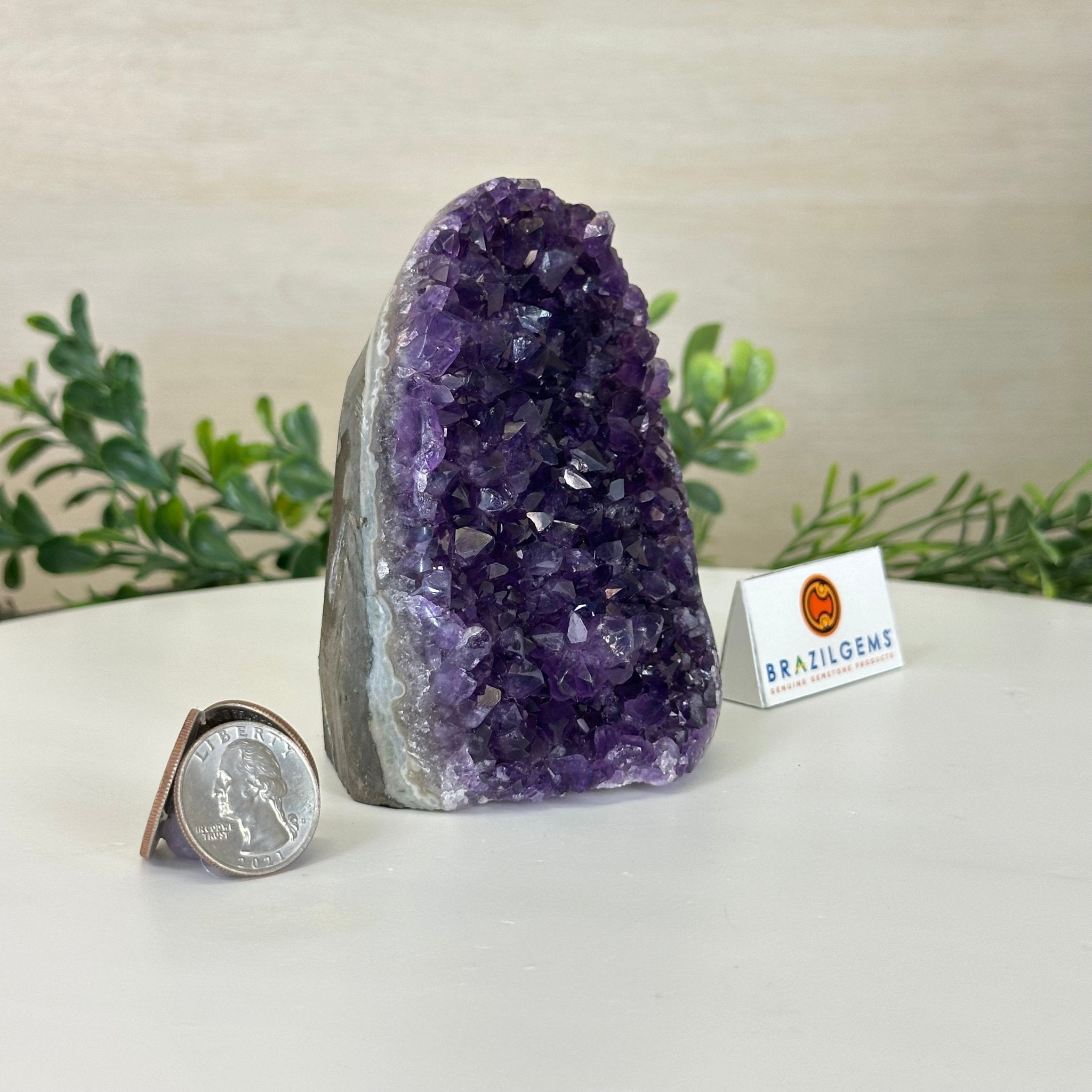 Small Extra Plus Quality Amethyst Cluster Flat Base, 4.2" Tall 5611 - 0917 - Brazil GemsBrazil GemsSmall Extra Plus Quality Amethyst Cluster Flat Base, 4.2" Tall 5611 - 0917Small Clusters with Flat Bases5611 - 0917
