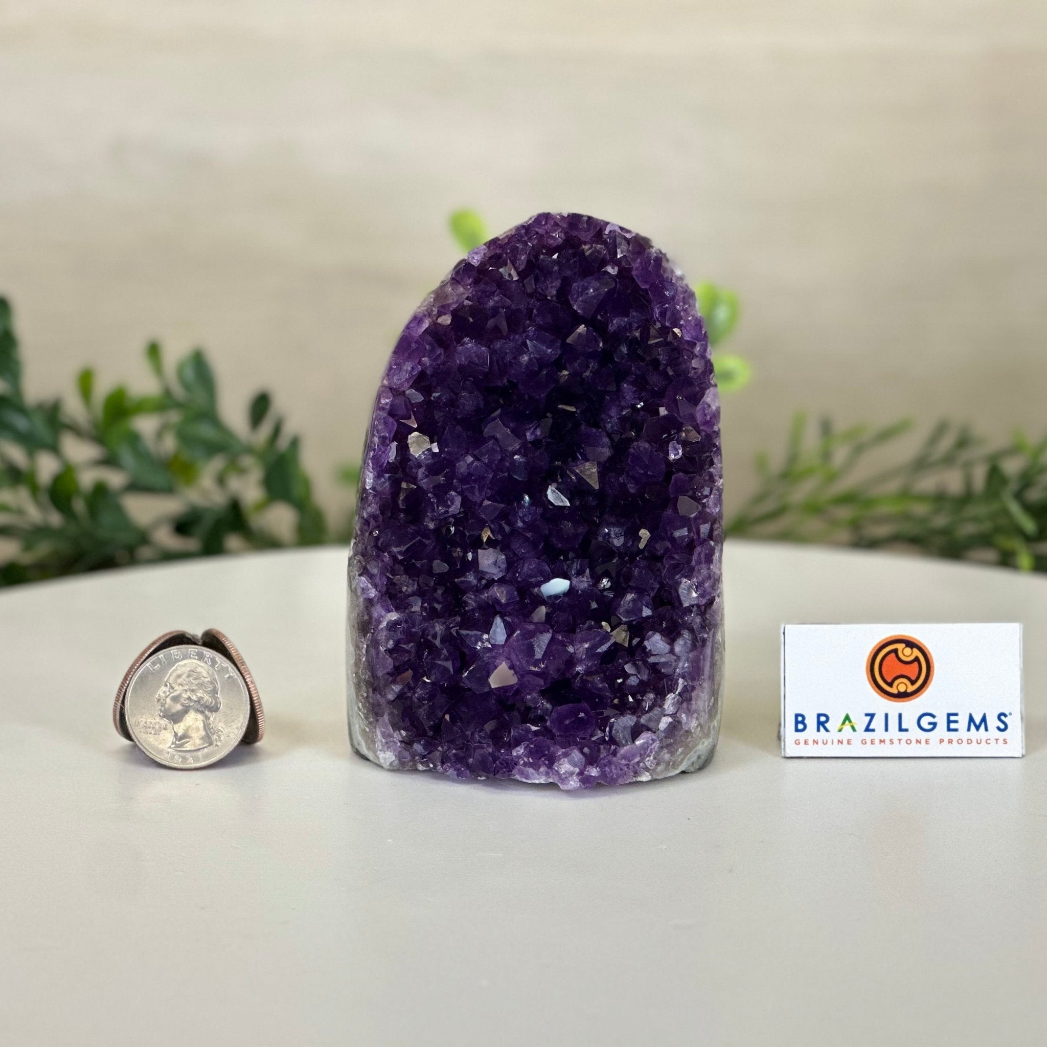 Small Extra Plus Quality Amethyst Cluster Flat Base, 4.2" Tall 5611 - 0917 - Brazil GemsBrazil GemsSmall Extra Plus Quality Amethyst Cluster Flat Base, 4.2" Tall 5611 - 0917Small Clusters with Flat Bases5611 - 0917