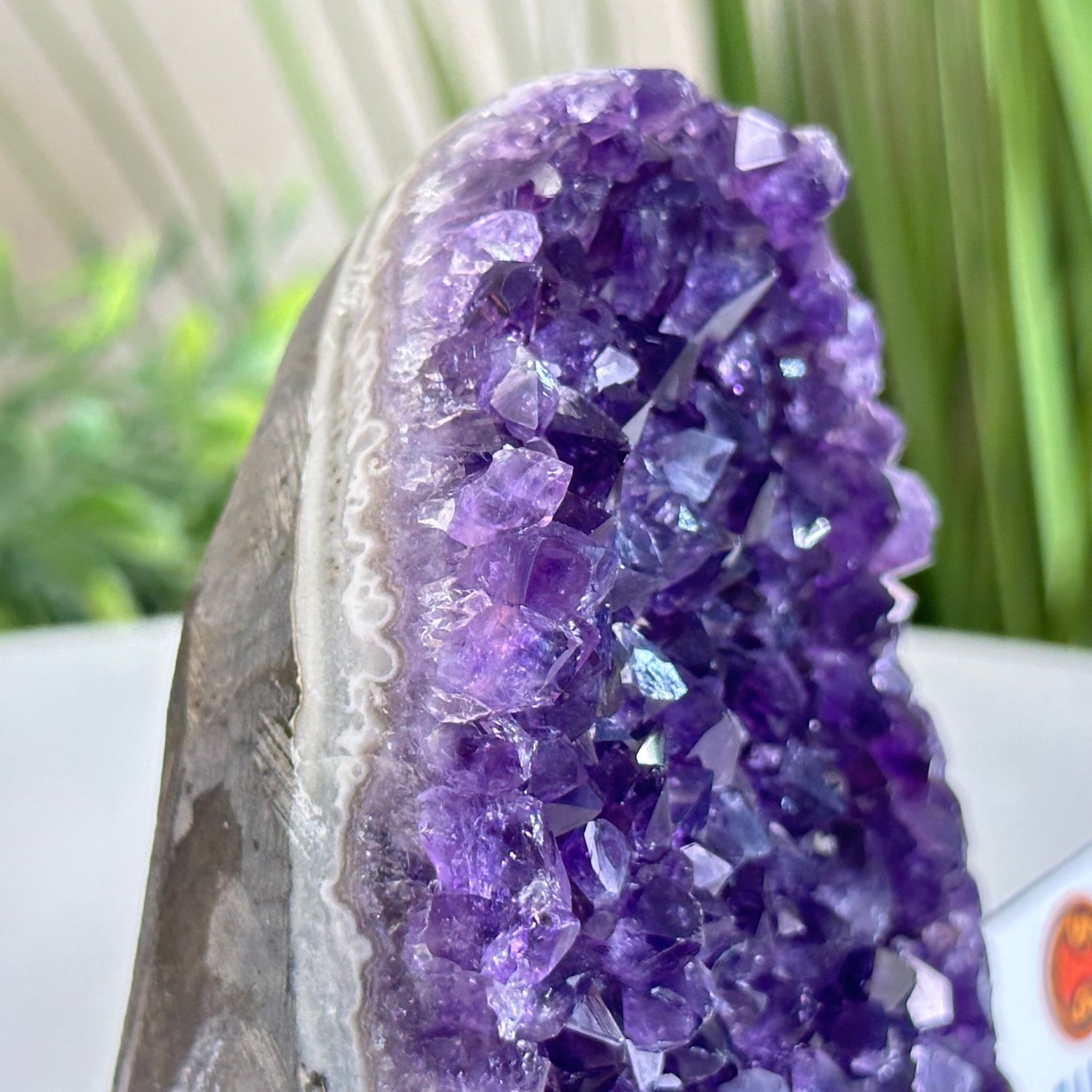 Small Extra Plus Quality Amethyst Cluster Flat Base, 4.2" Tall 5611 - 0917 - Brazil GemsBrazil GemsSmall Extra Plus Quality Amethyst Cluster Flat Base, 4.2" Tall 5611 - 0917Small Clusters with Flat Bases5611 - 0917