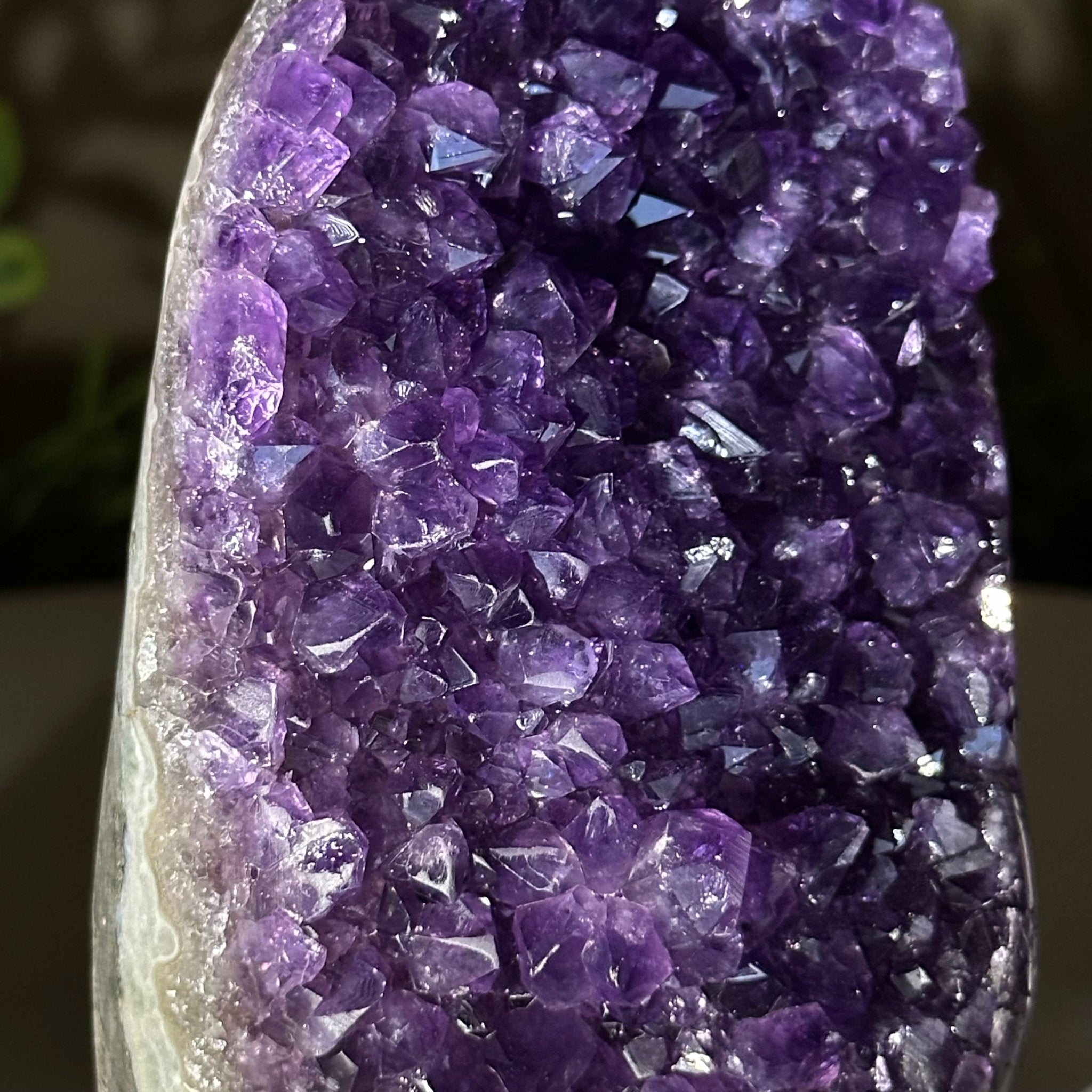 Small Extra Plus Quality Amethyst Cluster Flat Base, 4.2" Tall 5611 - 0917 - Brazil GemsBrazil GemsSmall Extra Plus Quality Amethyst Cluster Flat Base, 4.2" Tall 5611 - 0917Small Clusters with Flat Bases5611 - 0917