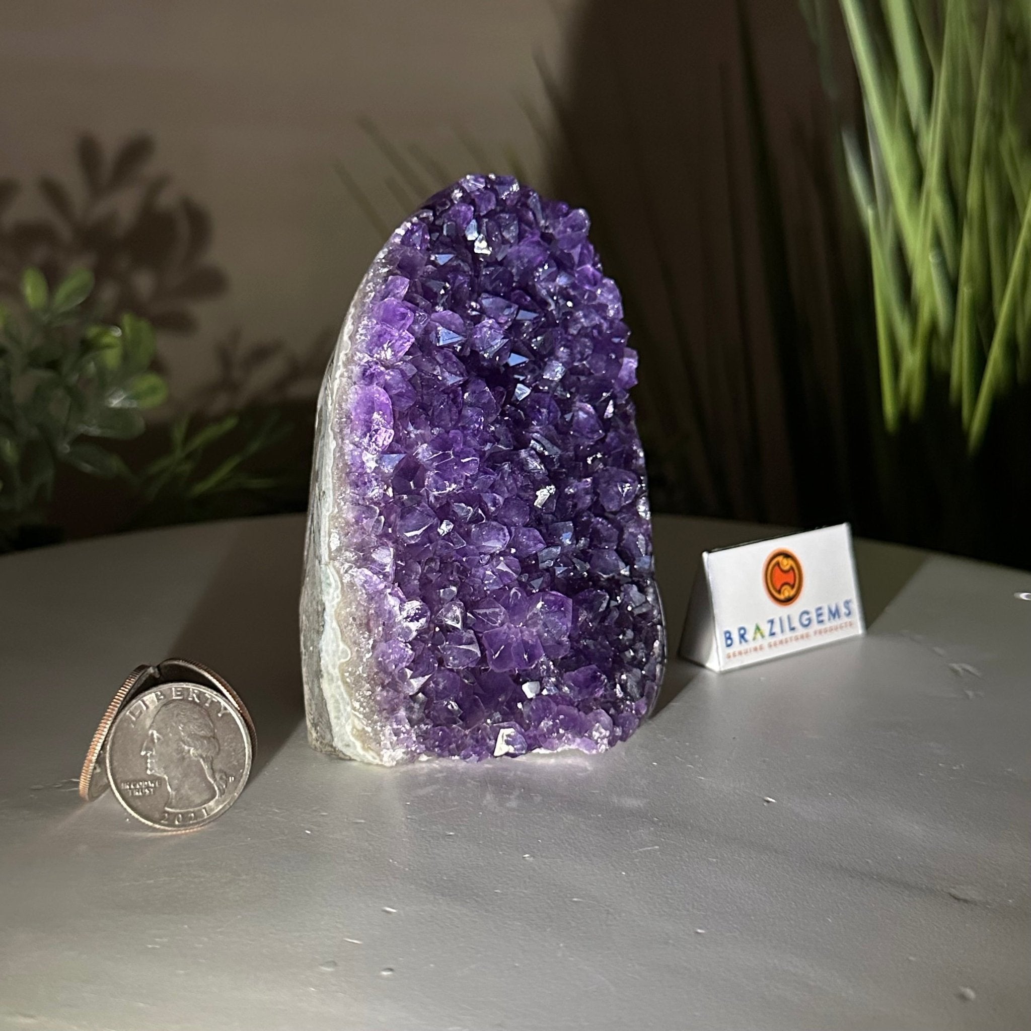 Small Extra Plus Quality Amethyst Cluster Flat Base, 4.2" Tall 5611 - 0917 - Brazil GemsBrazil GemsSmall Extra Plus Quality Amethyst Cluster Flat Base, 4.2" Tall 5611 - 0917Small Clusters with Flat Bases5611 - 0917