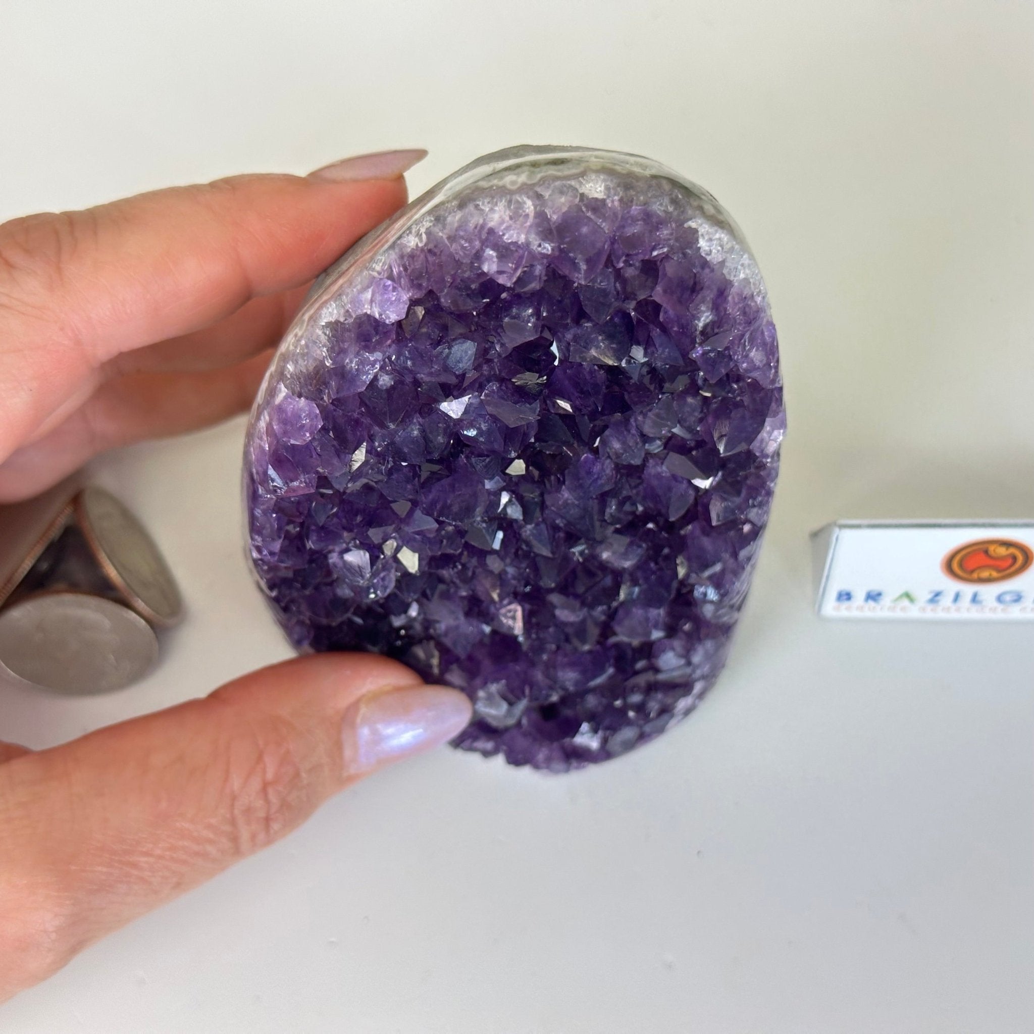 Small Extra Plus Quality Amethyst Cluster Flat Base, 4.2" Tall 5611 - 0917 - Brazil GemsBrazil GemsSmall Extra Plus Quality Amethyst Cluster Flat Base, 4.2" Tall 5611 - 0917Small Clusters with Flat Bases5611 - 0917