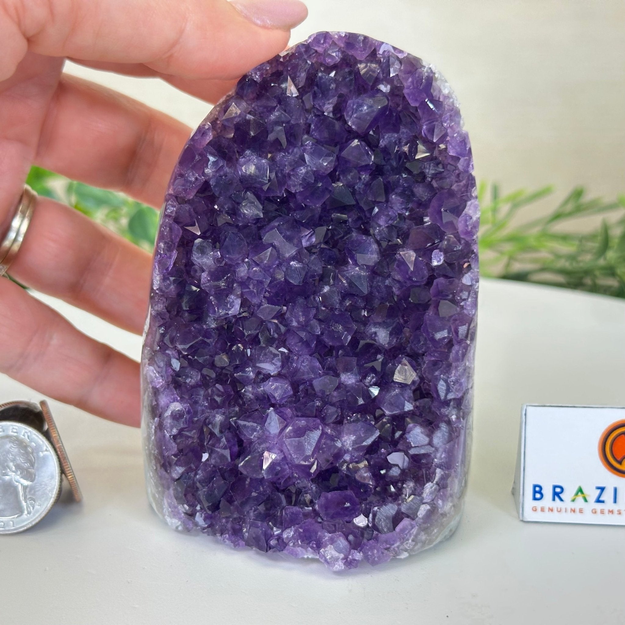 Small Extra Plus Quality Amethyst Cluster Flat Base, 4.2" Tall 5611 - 0917 - Brazil GemsBrazil GemsSmall Extra Plus Quality Amethyst Cluster Flat Base, 4.2" Tall 5611 - 0917Small Clusters with Flat Bases5611 - 0917