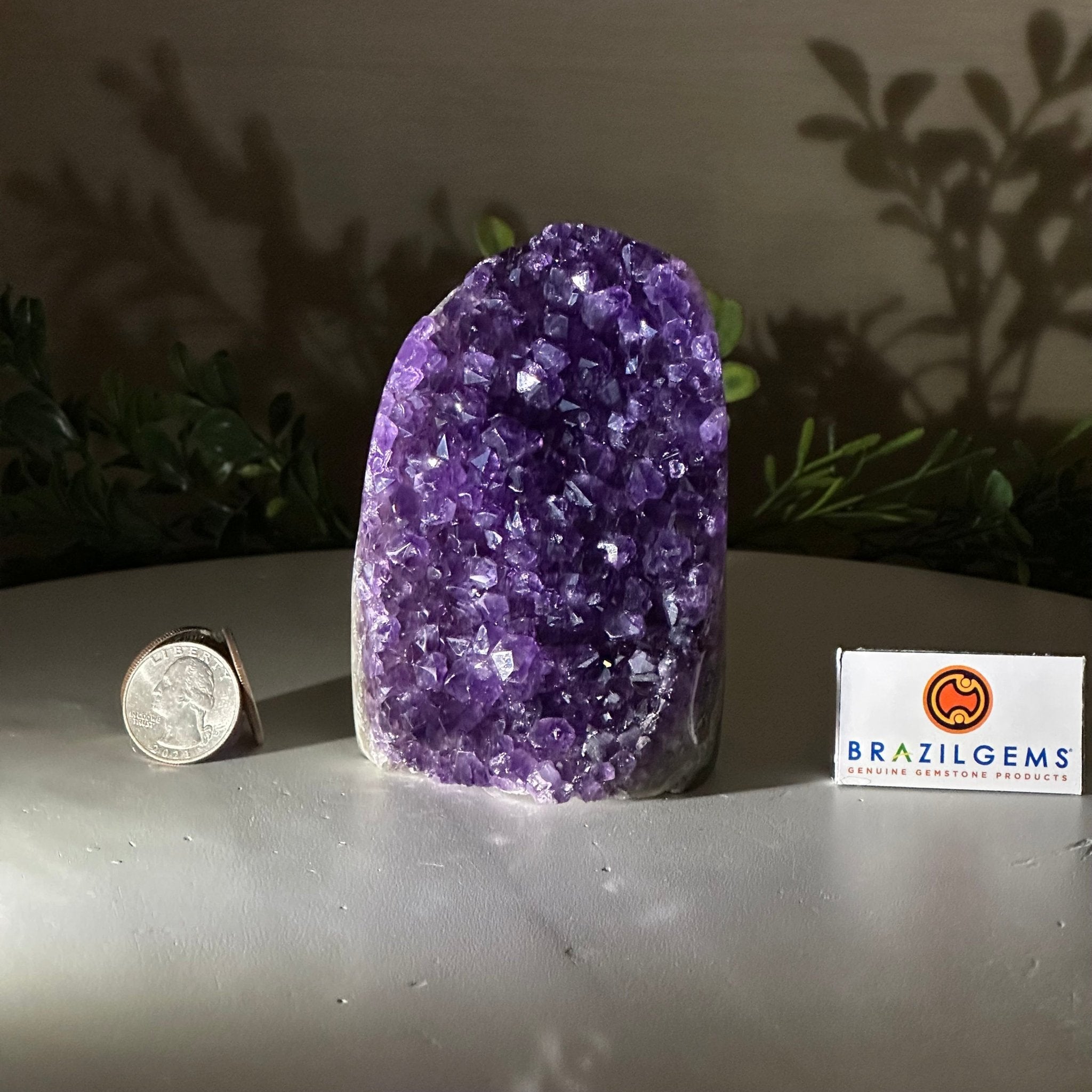 Small Extra Plus Quality Amethyst Cluster Flat Base, 4.2" Tall 5611 - 0917 - Brazil GemsBrazil GemsSmall Extra Plus Quality Amethyst Cluster Flat Base, 4.2" Tall 5611 - 0917Small Clusters with Flat Bases5611 - 0917