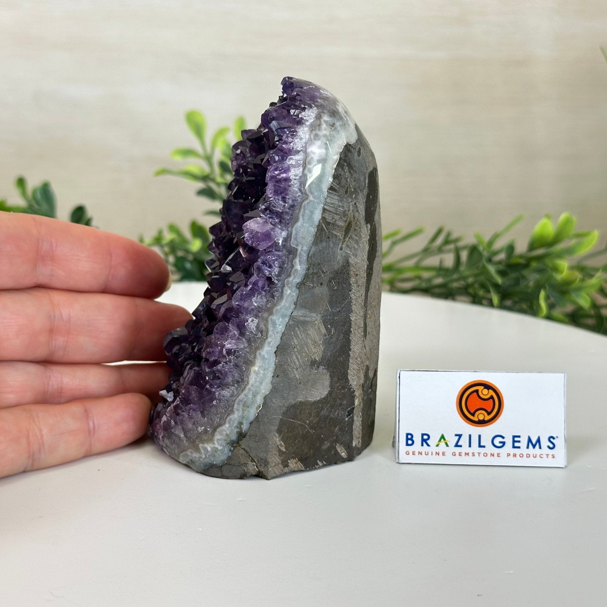 Small Extra Plus Quality Amethyst Cluster Flat Base, 4.2" Tall 5611 - 0917 - Brazil GemsBrazil GemsSmall Extra Plus Quality Amethyst Cluster Flat Base, 4.2" Tall 5611 - 0917Small Clusters with Flat Bases5611 - 0917