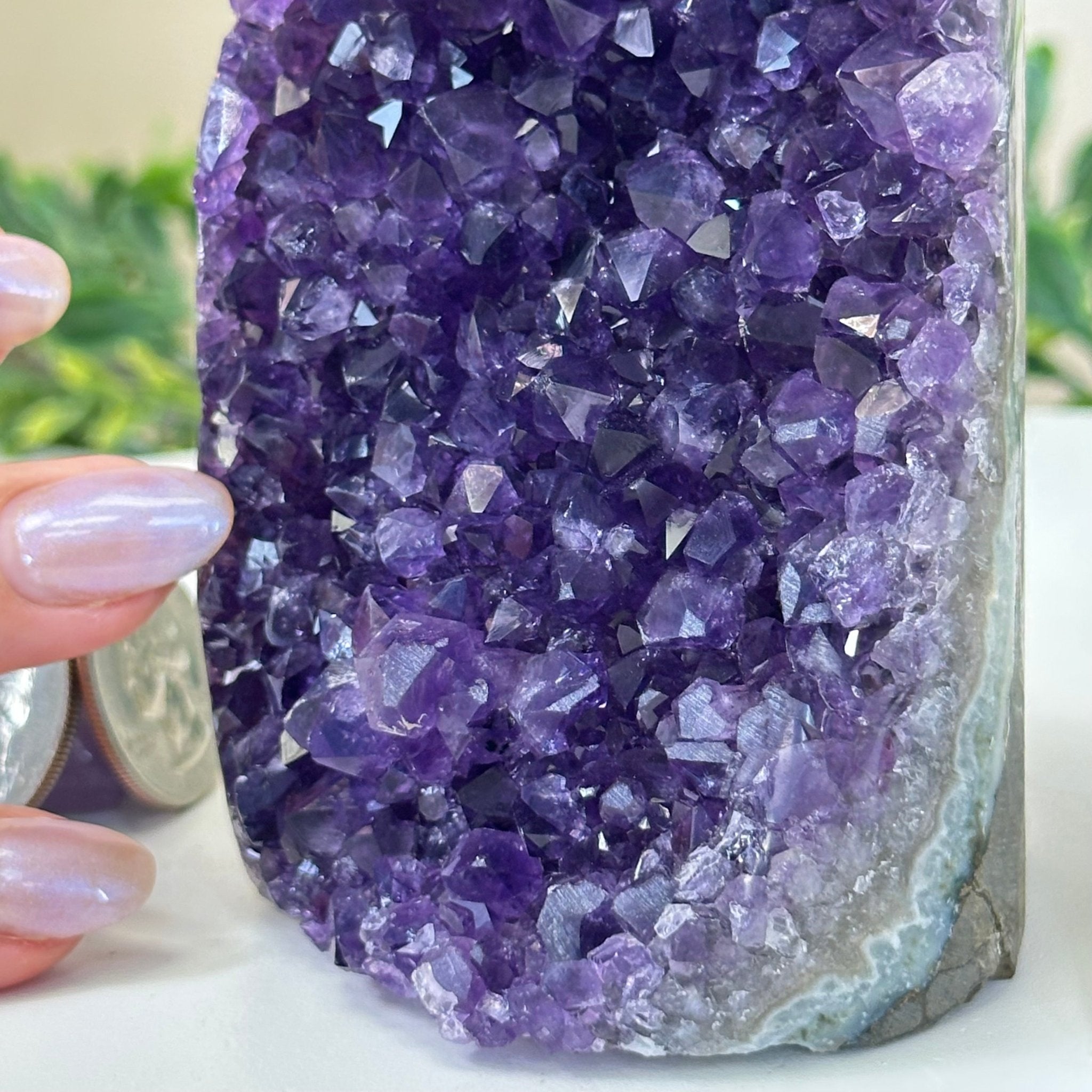Small Extra Plus Quality Amethyst Cluster Flat Base, 4.2" Tall 5611 - 0917 - Brazil GemsBrazil GemsSmall Extra Plus Quality Amethyst Cluster Flat Base, 4.2" Tall 5611 - 0917Small Clusters with Flat Bases5611 - 0917