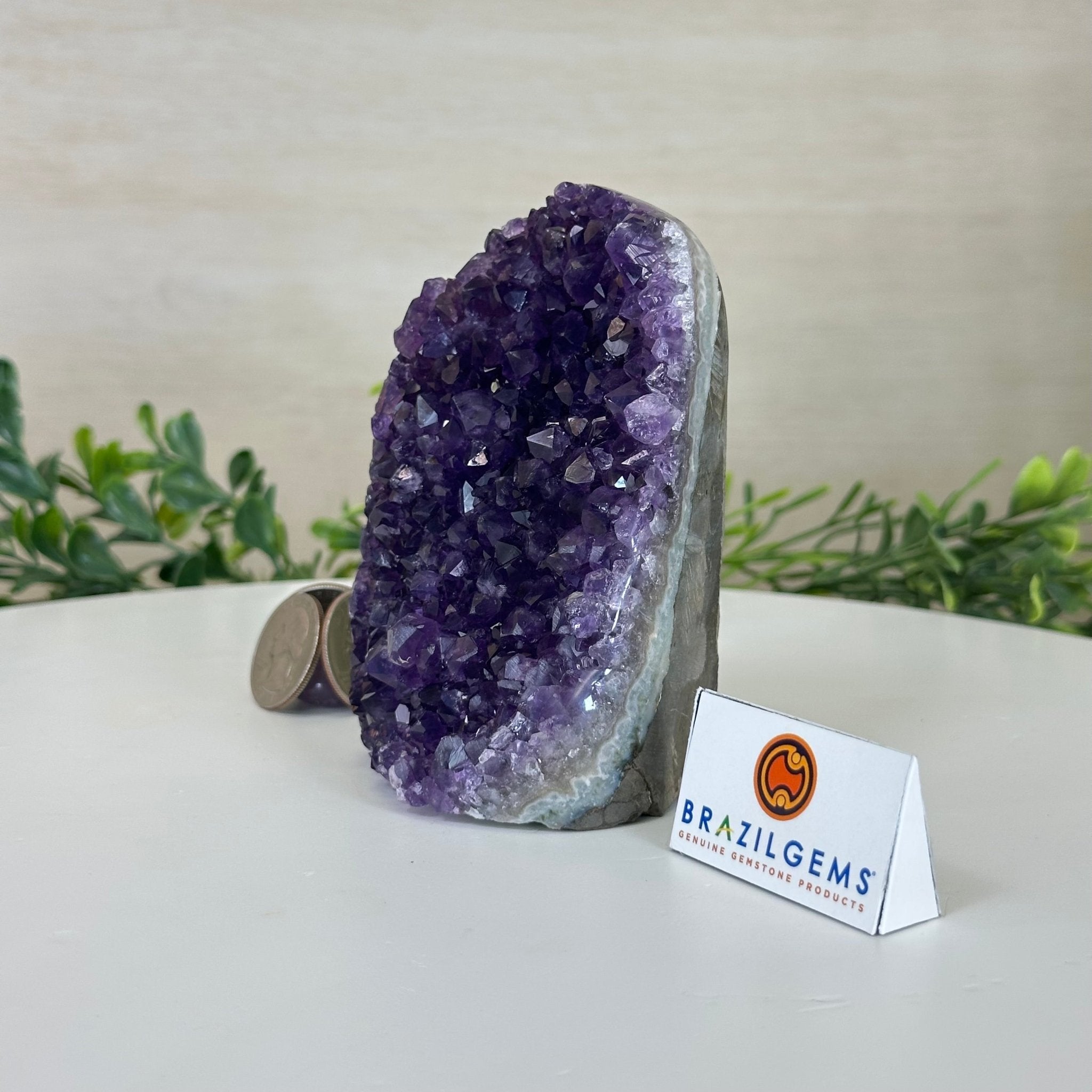 Small Extra Plus Quality Amethyst Cluster Flat Base, 4.2" Tall 5611 - 0917 - Brazil GemsBrazil GemsSmall Extra Plus Quality Amethyst Cluster Flat Base, 4.2" Tall 5611 - 0917Small Clusters with Flat Bases5611 - 0917