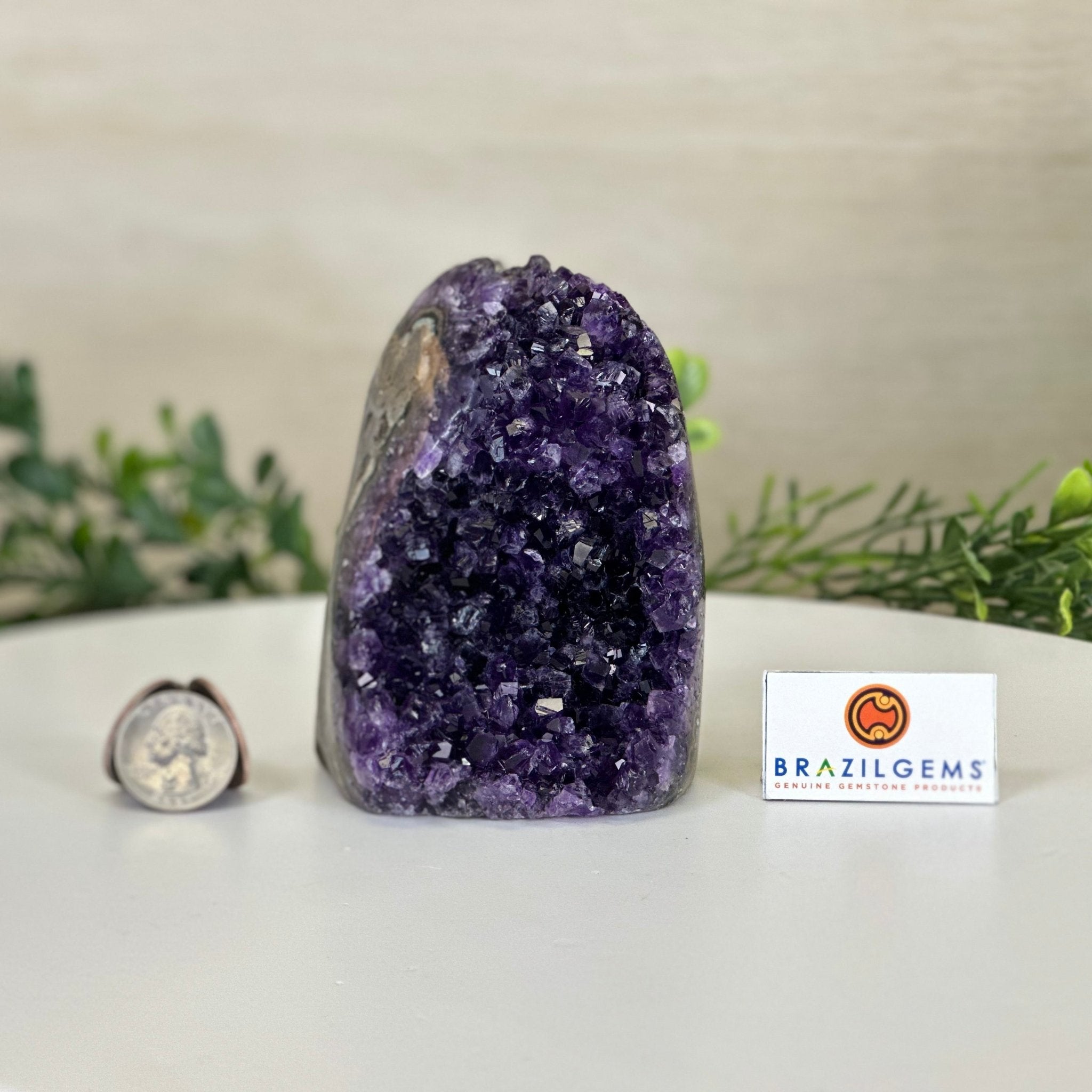 Small Extra Plus Quality Amethyst Cluster Flat Base, 4.2" Tall 5611 - 0920 - Brazil GemsBrazil GemsSmall Extra Plus Quality Amethyst Cluster Flat Base, 4.2" Tall 5611 - 0920Small Clusters with Flat Bases5611 - 0920