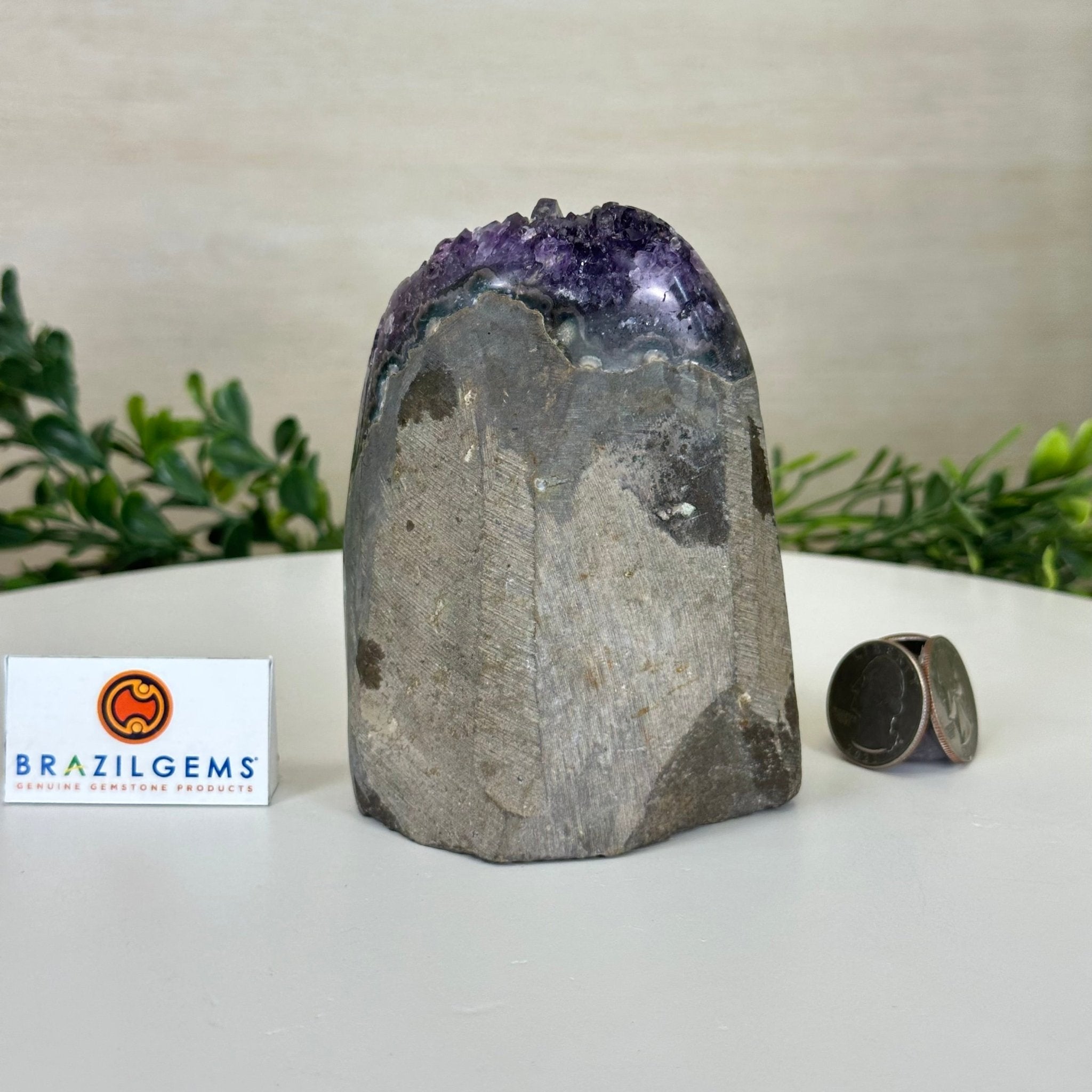 Small Extra Plus Quality Amethyst Cluster Flat Base, 4.2" Tall 5611 - 0920 - Brazil GemsBrazil GemsSmall Extra Plus Quality Amethyst Cluster Flat Base, 4.2" Tall 5611 - 0920Small Clusters with Flat Bases5611 - 0920