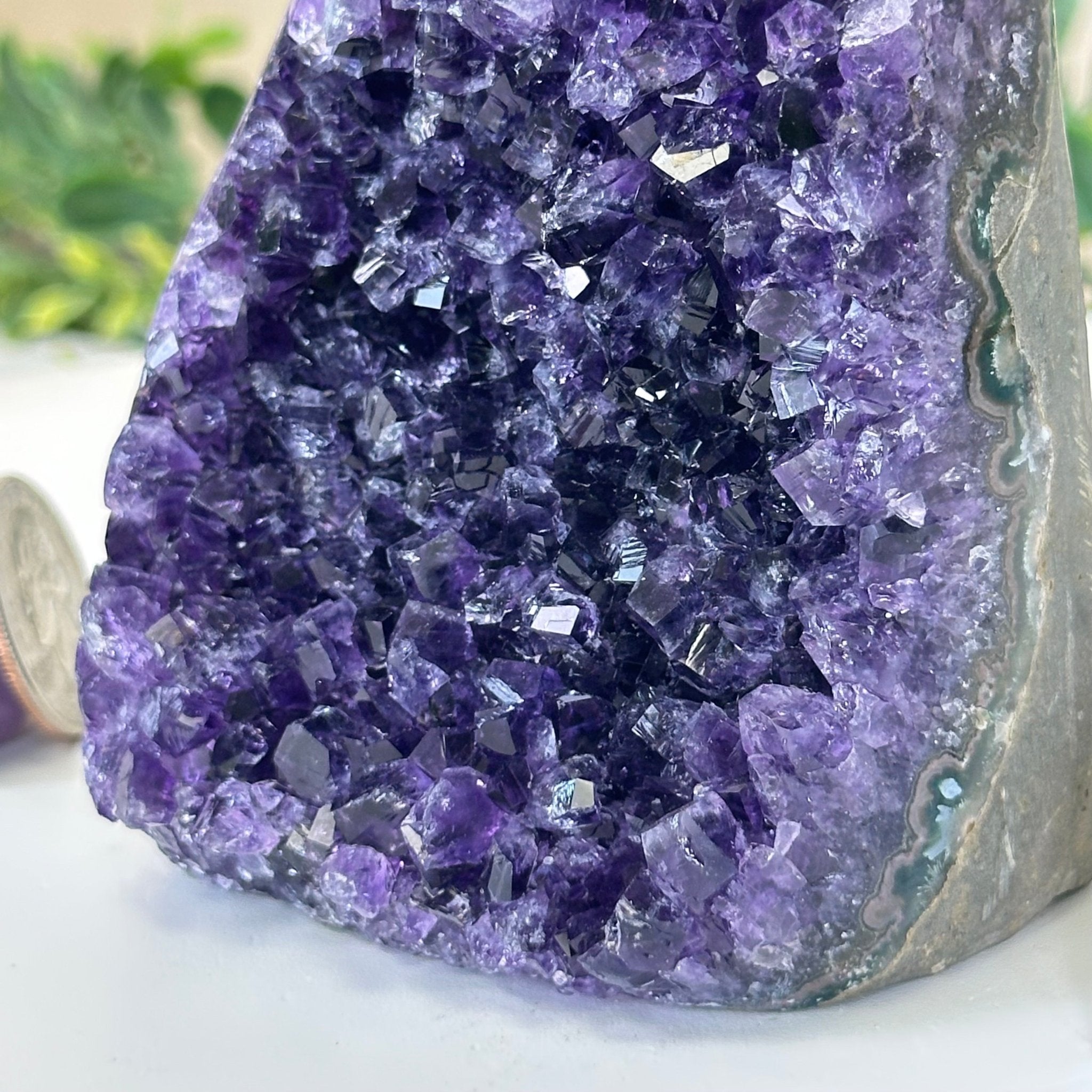 Small Extra Plus Quality Amethyst Cluster Flat Base, 4.2" Tall 5611 - 0920 - Brazil GemsBrazil GemsSmall Extra Plus Quality Amethyst Cluster Flat Base, 4.2" Tall 5611 - 0920Small Clusters with Flat Bases5611 - 0920