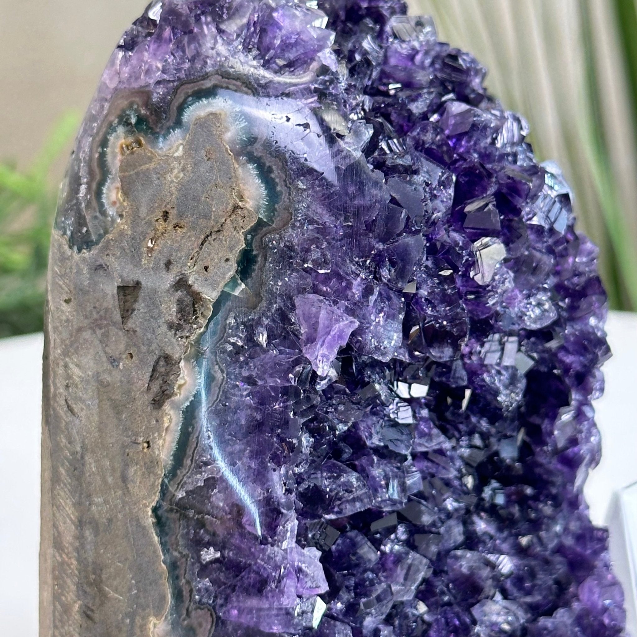 Small Extra Plus Quality Amethyst Cluster Flat Base, 4.2" Tall 5611 - 0920 - Brazil GemsBrazil GemsSmall Extra Plus Quality Amethyst Cluster Flat Base, 4.2" Tall 5611 - 0920Small Clusters with Flat Bases5611 - 0920