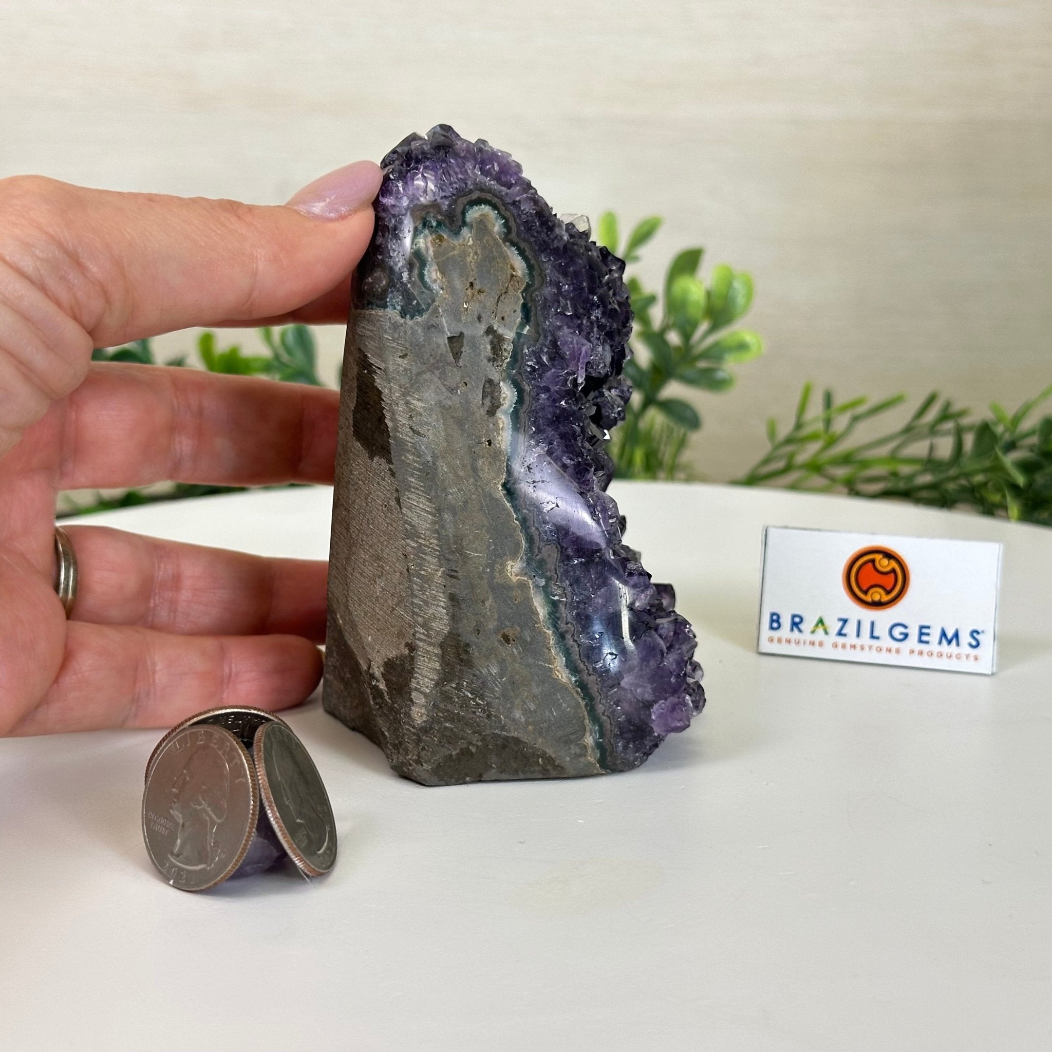 Small Extra Plus Quality Amethyst Cluster Flat Base, 4.2" Tall 5611 - 0920 - Brazil GemsBrazil GemsSmall Extra Plus Quality Amethyst Cluster Flat Base, 4.2" Tall 5611 - 0920Small Clusters with Flat Bases5611 - 0920