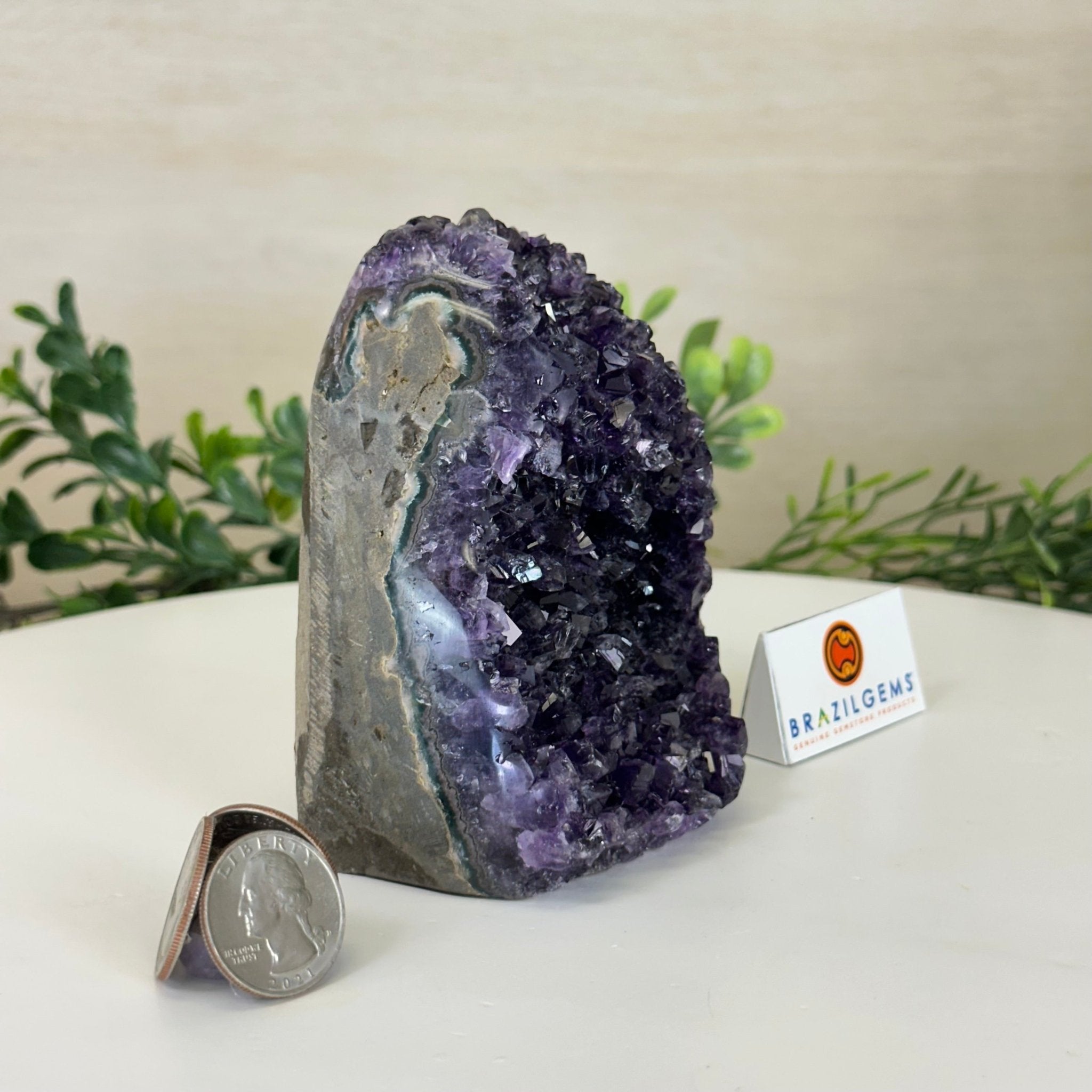 Small Extra Plus Quality Amethyst Cluster Flat Base, 4.2" Tall 5611 - 0920 - Brazil GemsBrazil GemsSmall Extra Plus Quality Amethyst Cluster Flat Base, 4.2" Tall 5611 - 0920Small Clusters with Flat Bases5611 - 0920