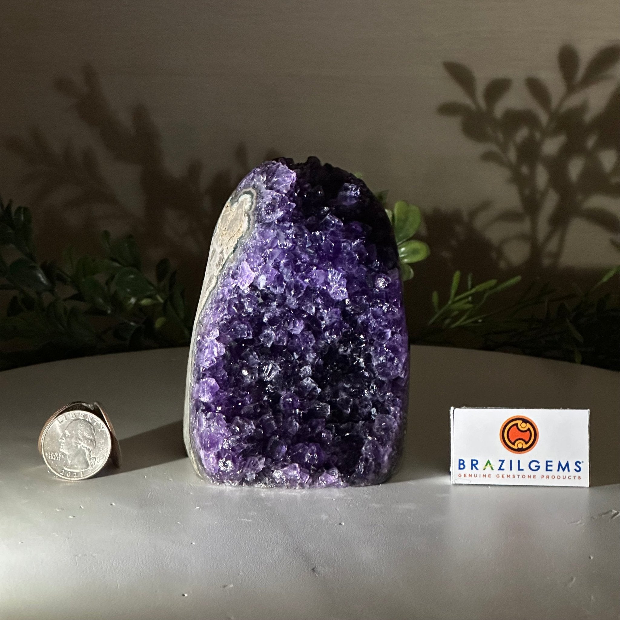 Small Extra Plus Quality Amethyst Cluster Flat Base, 4.2" Tall 5611 - 0920 - Brazil GemsBrazil GemsSmall Extra Plus Quality Amethyst Cluster Flat Base, 4.2" Tall 5611 - 0920Small Clusters with Flat Bases5611 - 0920