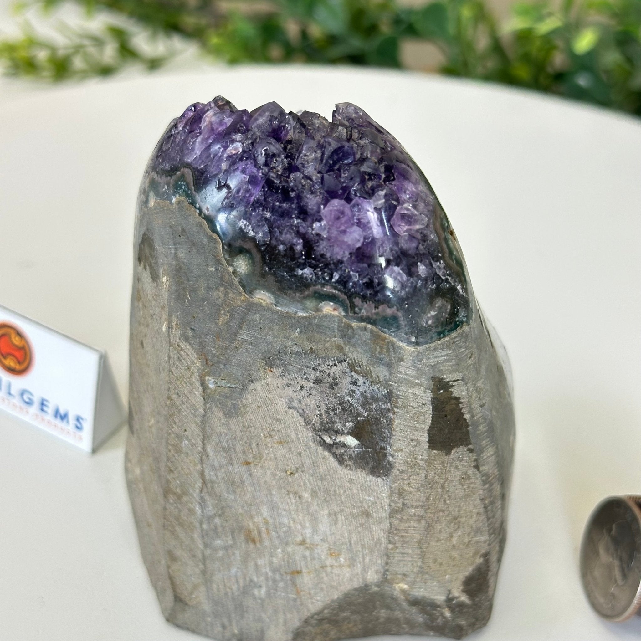 Small Extra Plus Quality Amethyst Cluster Flat Base, 4.2" Tall 5611 - 0920 - Brazil GemsBrazil GemsSmall Extra Plus Quality Amethyst Cluster Flat Base, 4.2" Tall 5611 - 0920Small Clusters with Flat Bases5611 - 0920