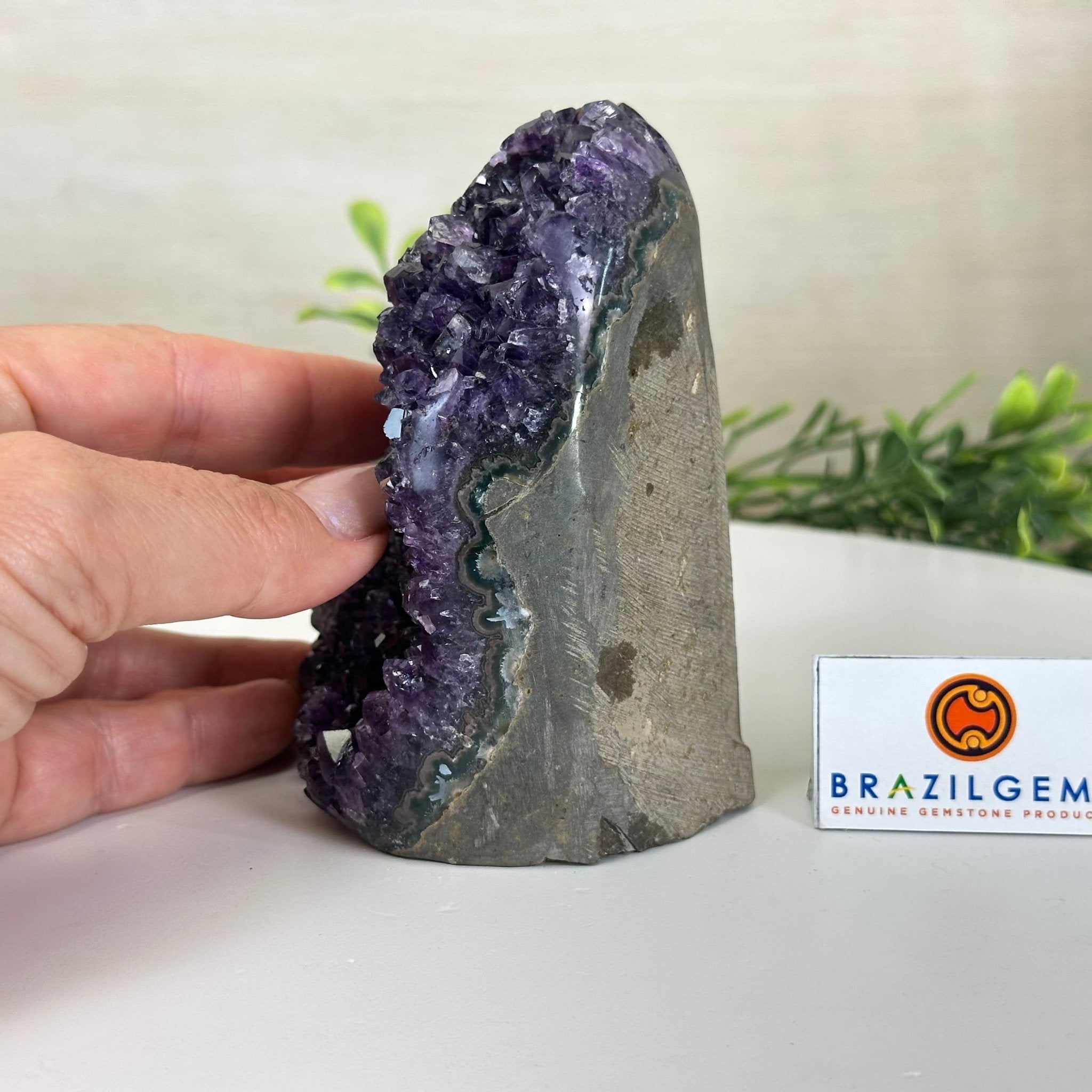Small Extra Plus Quality Amethyst Cluster Flat Base, 4.2" Tall 5611 - 0920 - Brazil GemsBrazil GemsSmall Extra Plus Quality Amethyst Cluster Flat Base, 4.2" Tall 5611 - 0920Small Clusters with Flat Bases5611 - 0920