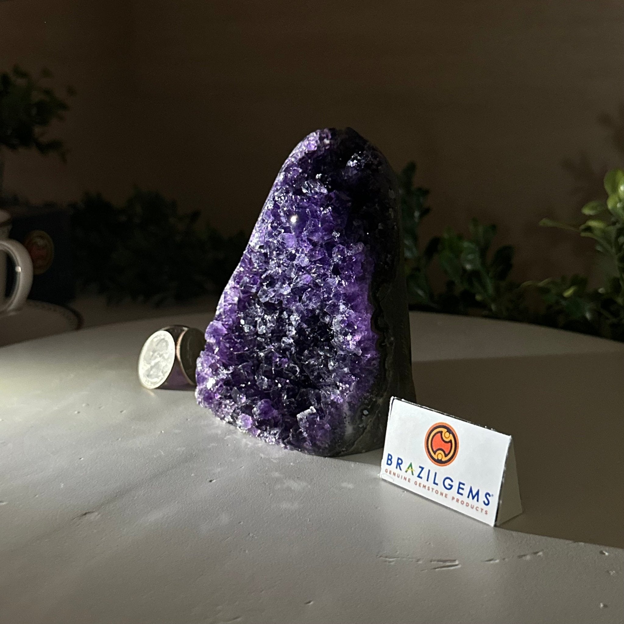 Small Extra Plus Quality Amethyst Cluster Flat Base, 4.2" Tall 5611 - 0920 - Brazil GemsBrazil GemsSmall Extra Plus Quality Amethyst Cluster Flat Base, 4.2" Tall 5611 - 0920Small Clusters with Flat Bases5611 - 0920