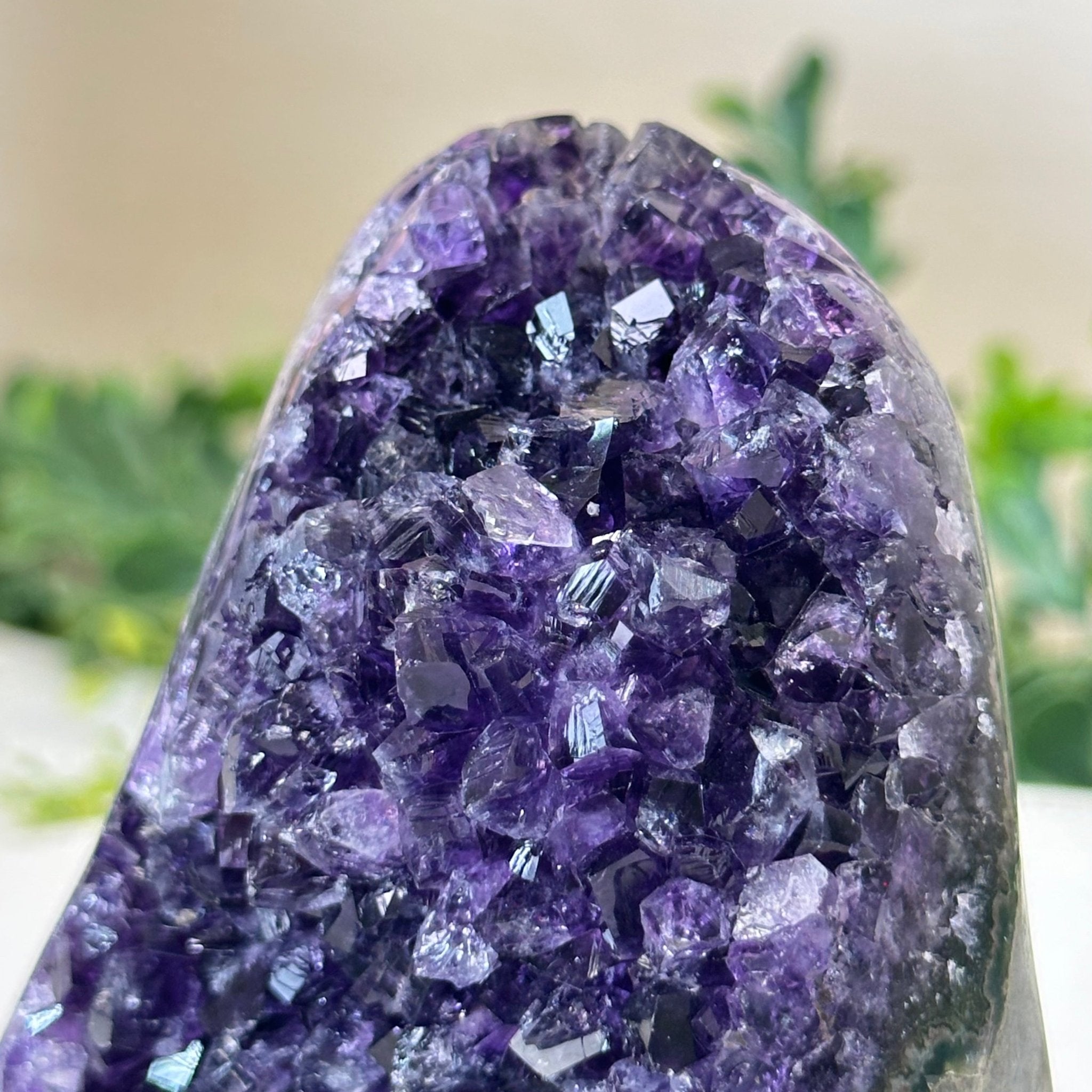 Small Extra Plus Quality Amethyst Cluster Flat Base, 4.2" Tall 5611 - 0920 - Brazil GemsBrazil GemsSmall Extra Plus Quality Amethyst Cluster Flat Base, 4.2" Tall 5611 - 0920Small Clusters with Flat Bases5611 - 0920