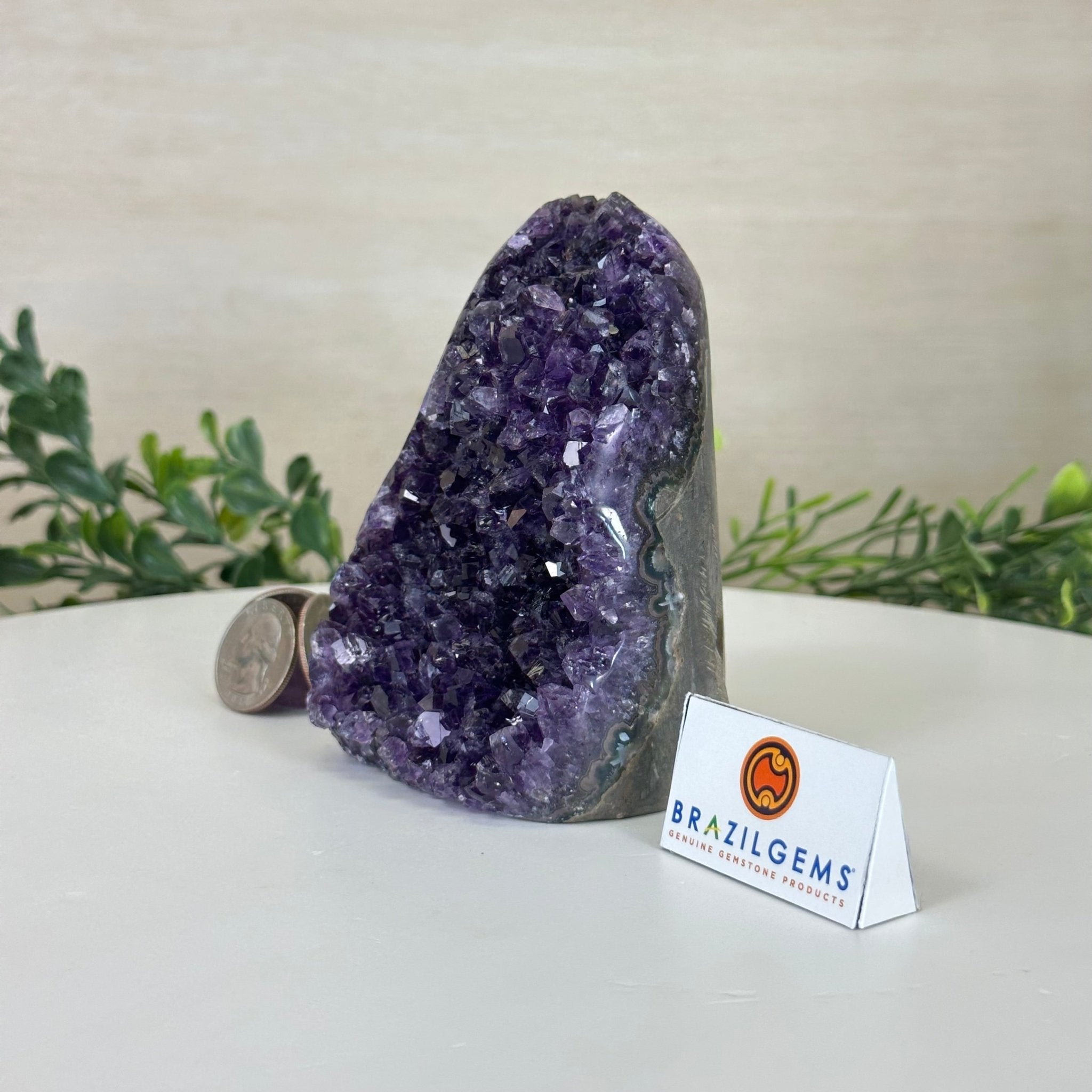 Small Extra Plus Quality Amethyst Cluster Flat Base, 4.2" Tall 5611 - 0920 - Brazil GemsBrazil GemsSmall Extra Plus Quality Amethyst Cluster Flat Base, 4.2" Tall 5611 - 0920Small Clusters with Flat Bases5611 - 0920
