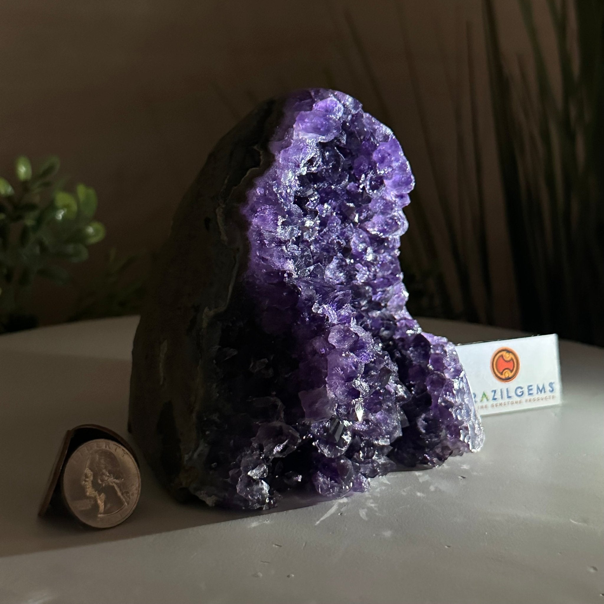 Small Extra Plus Quality Amethyst Cluster Flat Base, 4.6" Tall 5611 - 0925 - Brazil GemsBrazil GemsSmall Extra Plus Quality Amethyst Cluster Flat Base, 4.6" Tall 5611 - 0925Small Clusters with Flat Bases5611 - 0925