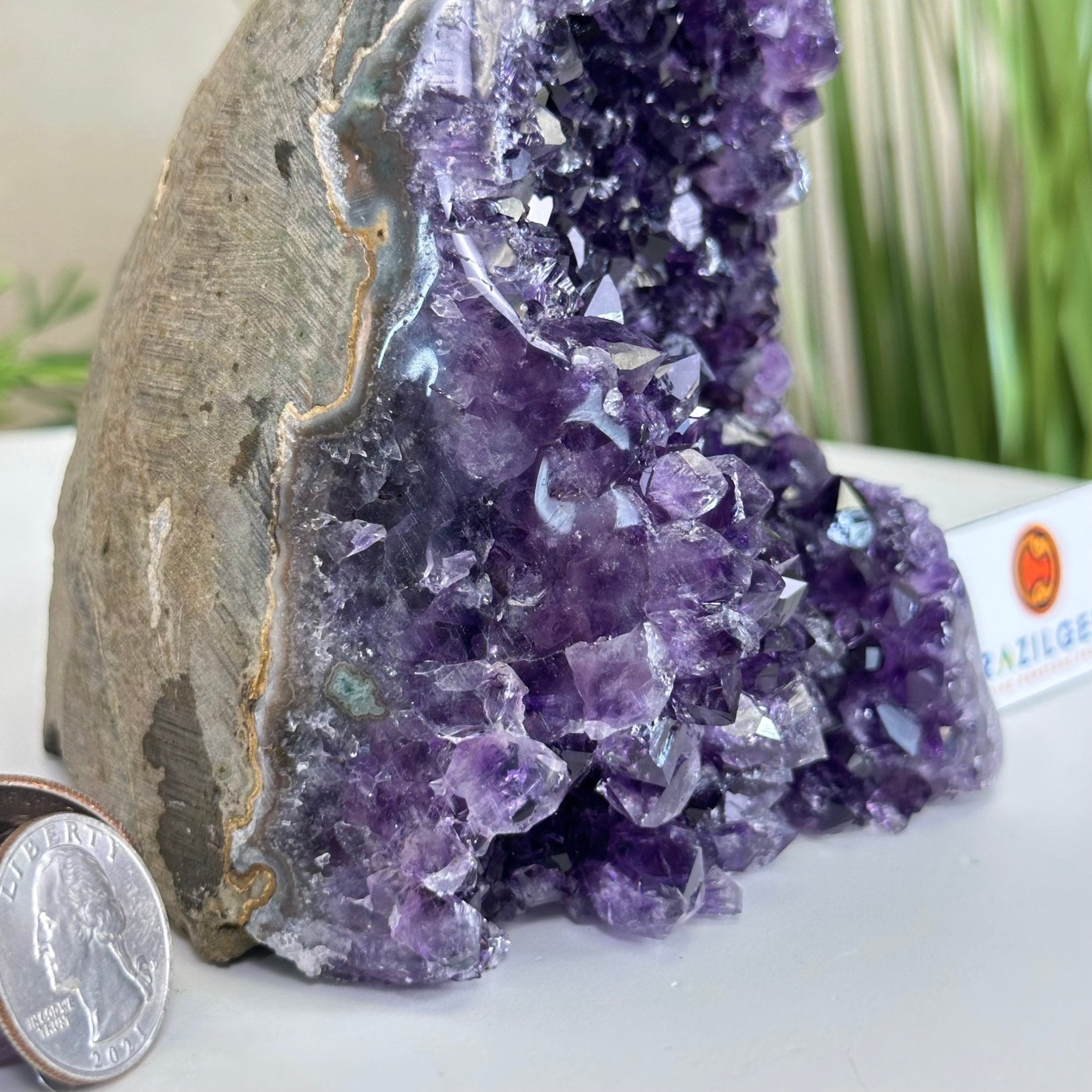 Small Extra Plus Quality Amethyst Cluster Flat Base, 4.6" Tall 5611 - 0925 - Brazil GemsBrazil GemsSmall Extra Plus Quality Amethyst Cluster Flat Base, 4.6" Tall 5611 - 0925Small Clusters with Flat Bases5611 - 0925