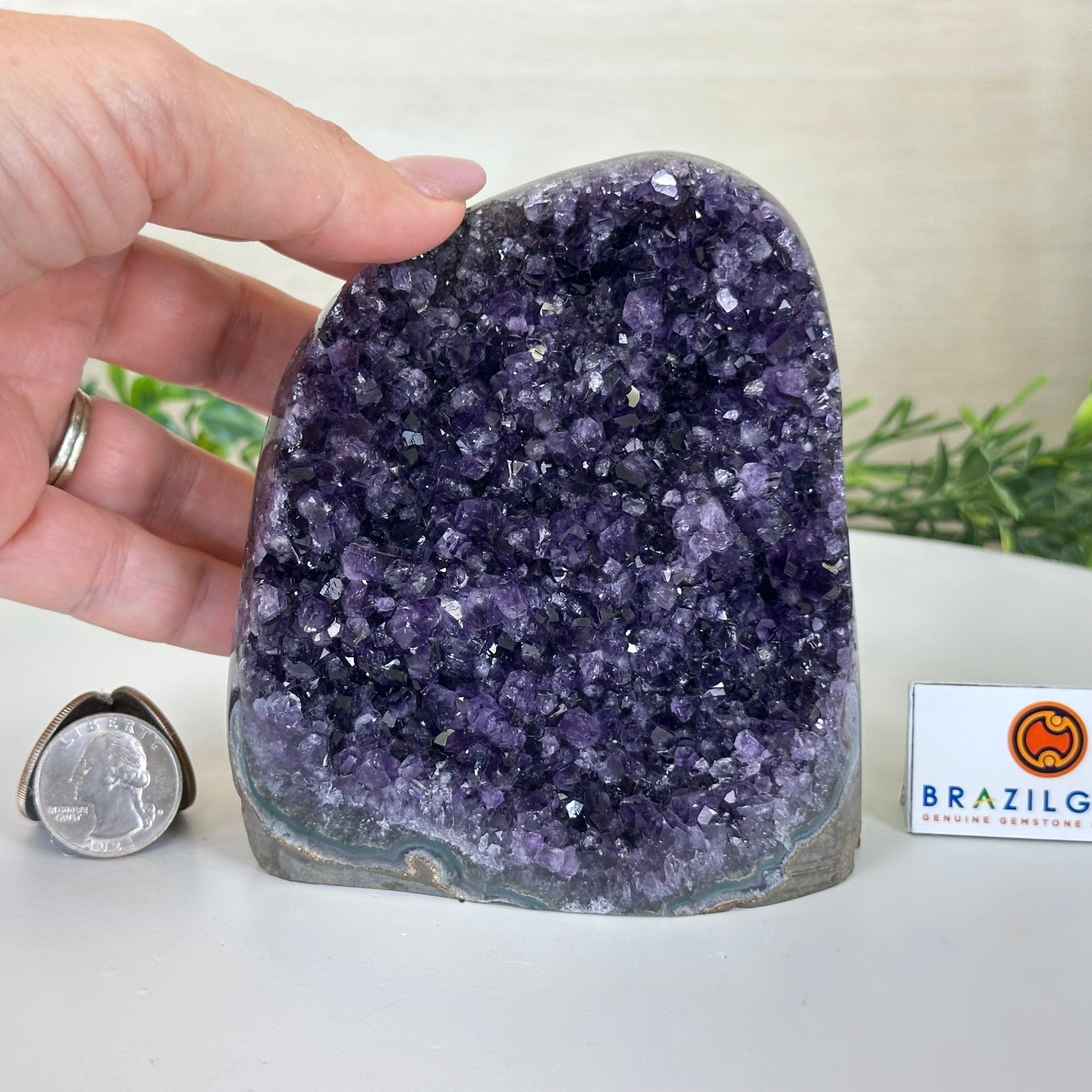 Small Extra Plus Quality Amethyst Cluster Flat Base, 4.7" Tall 5611 - 0924 - Brazil GemsBrazil GemsSmall Extra Plus Quality Amethyst Cluster Flat Base, 4.7" Tall 5611 - 0924Small Clusters with Flat Bases5611 - 0924