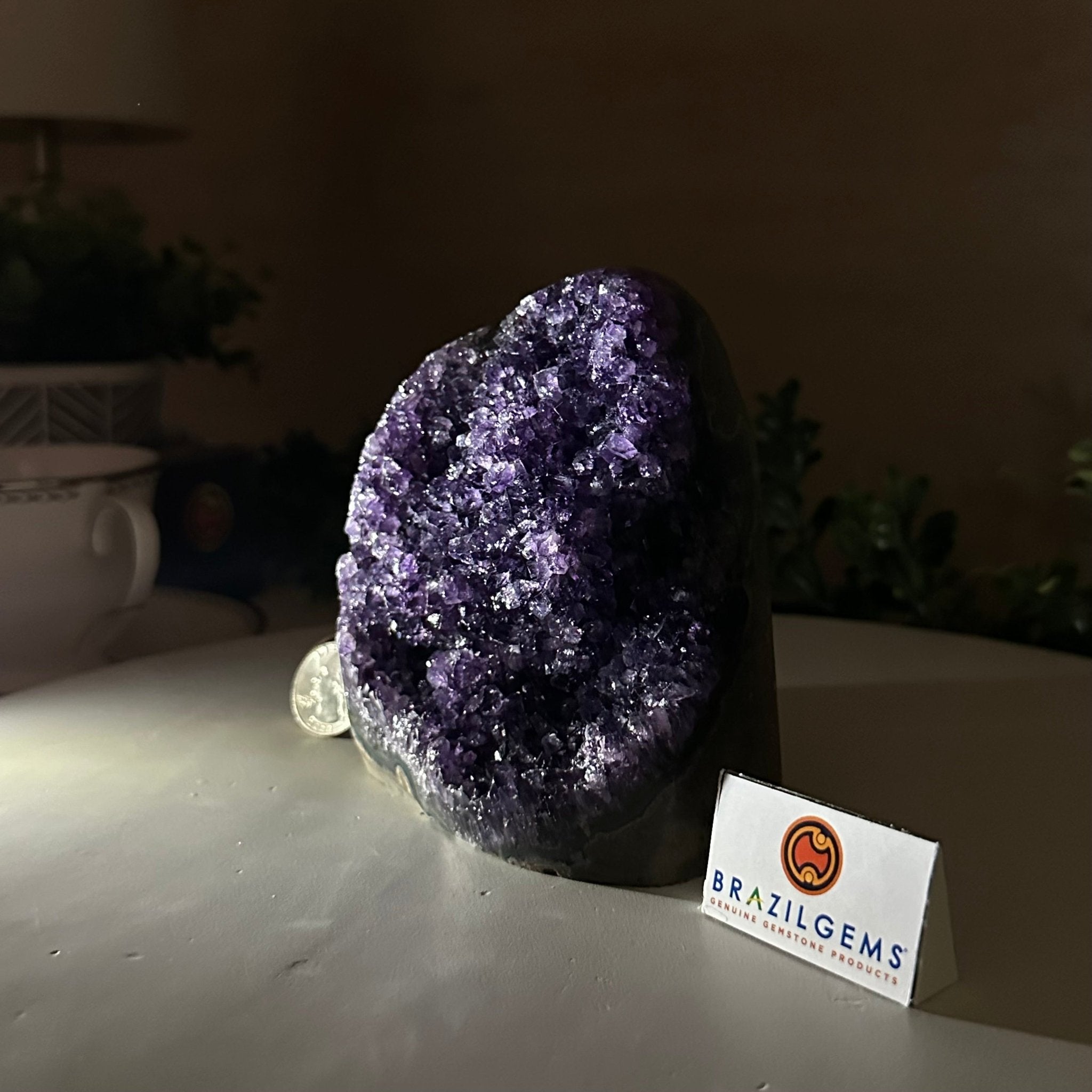 Small Extra Plus Quality Amethyst Cluster Flat Base, 4.7" Tall 5611 - 0924 - Brazil GemsBrazil GemsSmall Extra Plus Quality Amethyst Cluster Flat Base, 4.7" Tall 5611 - 0924Small Clusters with Flat Bases5611 - 0924
