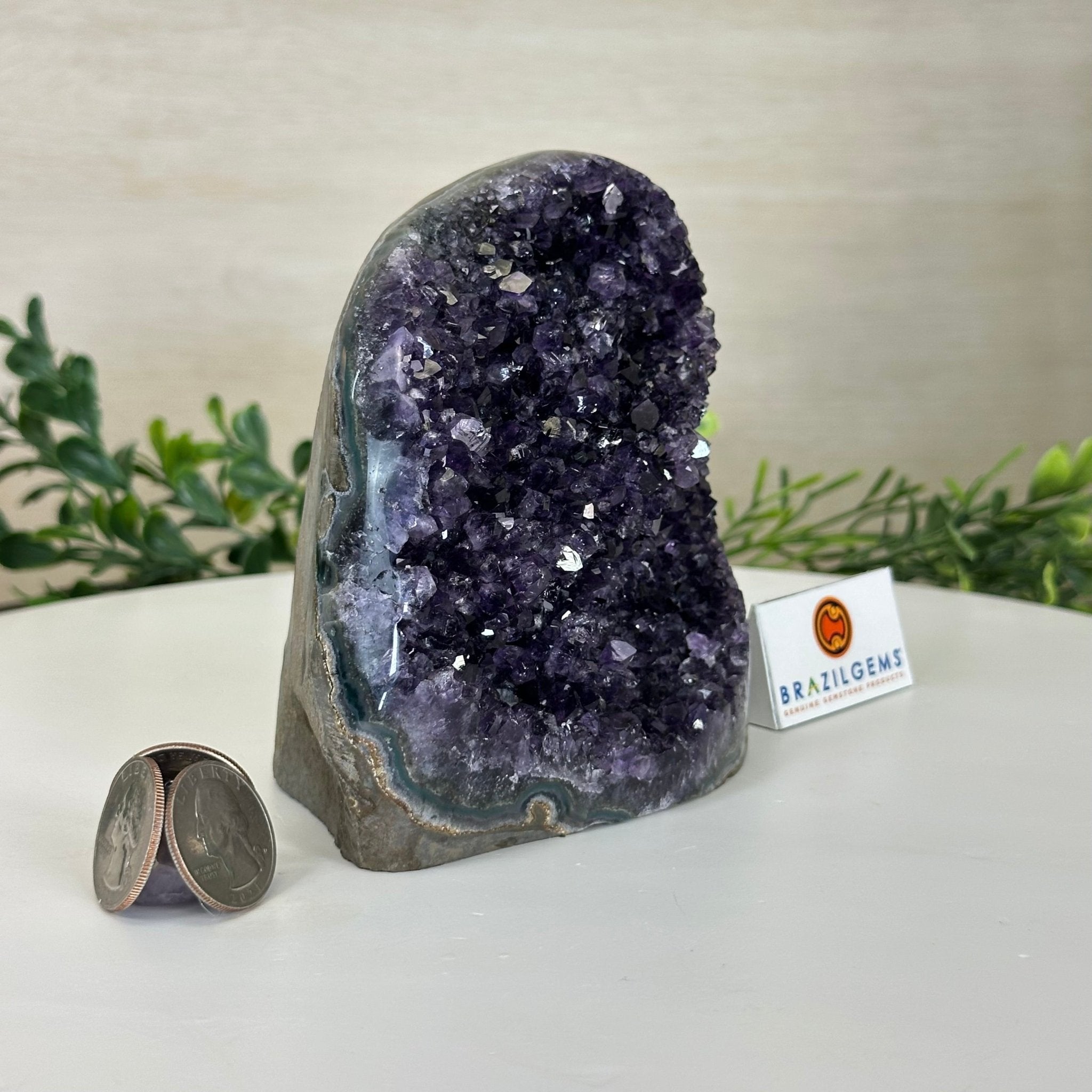 Small Extra Plus Quality Amethyst Cluster Flat Base, 4.7" Tall 5611 - 0924 - Brazil GemsBrazil GemsSmall Extra Plus Quality Amethyst Cluster Flat Base, 4.7" Tall 5611 - 0924Small Clusters with Flat Bases5611 - 0924