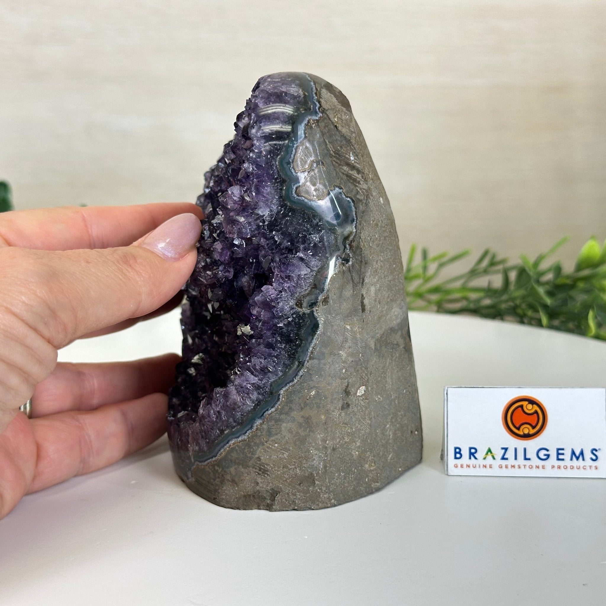 Small Extra Plus Quality Amethyst Cluster Flat Base, 4.7" Tall 5611 - 0924 - Brazil GemsBrazil GemsSmall Extra Plus Quality Amethyst Cluster Flat Base, 4.7" Tall 5611 - 0924Small Clusters with Flat Bases5611 - 0924