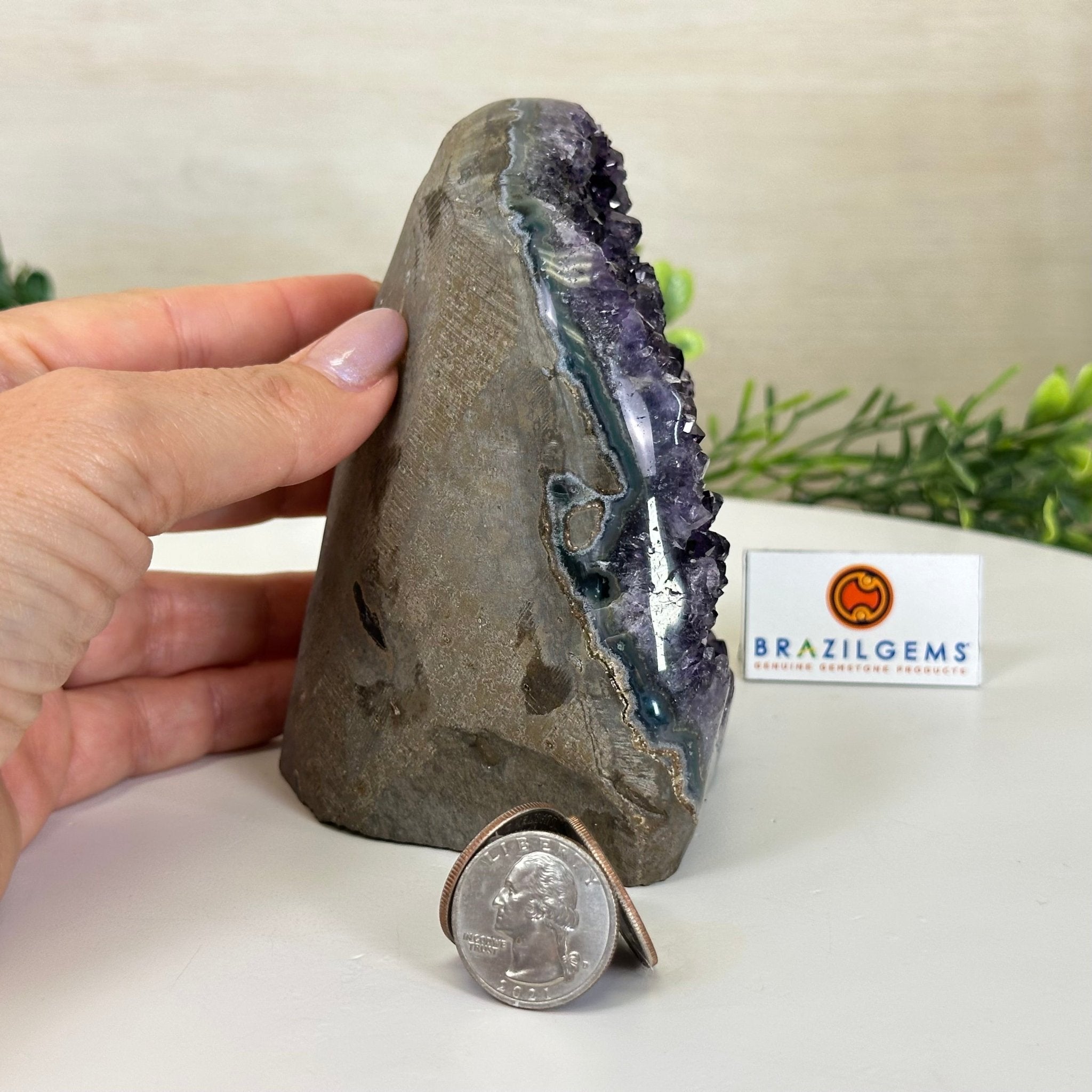 Small Extra Plus Quality Amethyst Cluster Flat Base, 4.7" Tall 5611 - 0924 - Brazil GemsBrazil GemsSmall Extra Plus Quality Amethyst Cluster Flat Base, 4.7" Tall 5611 - 0924Small Clusters with Flat Bases5611 - 0924