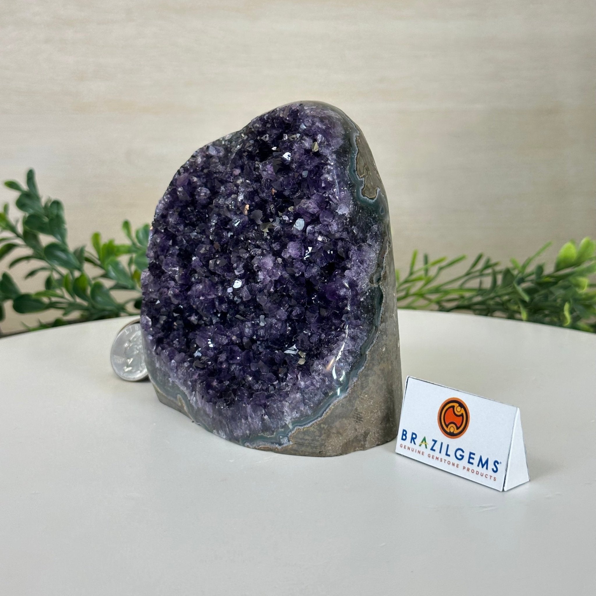 Small Extra Plus Quality Amethyst Cluster Flat Base, 4.7" Tall 5611 - 0924 - Brazil GemsBrazil GemsSmall Extra Plus Quality Amethyst Cluster Flat Base, 4.7" Tall 5611 - 0924Small Clusters with Flat Bases5611 - 0924