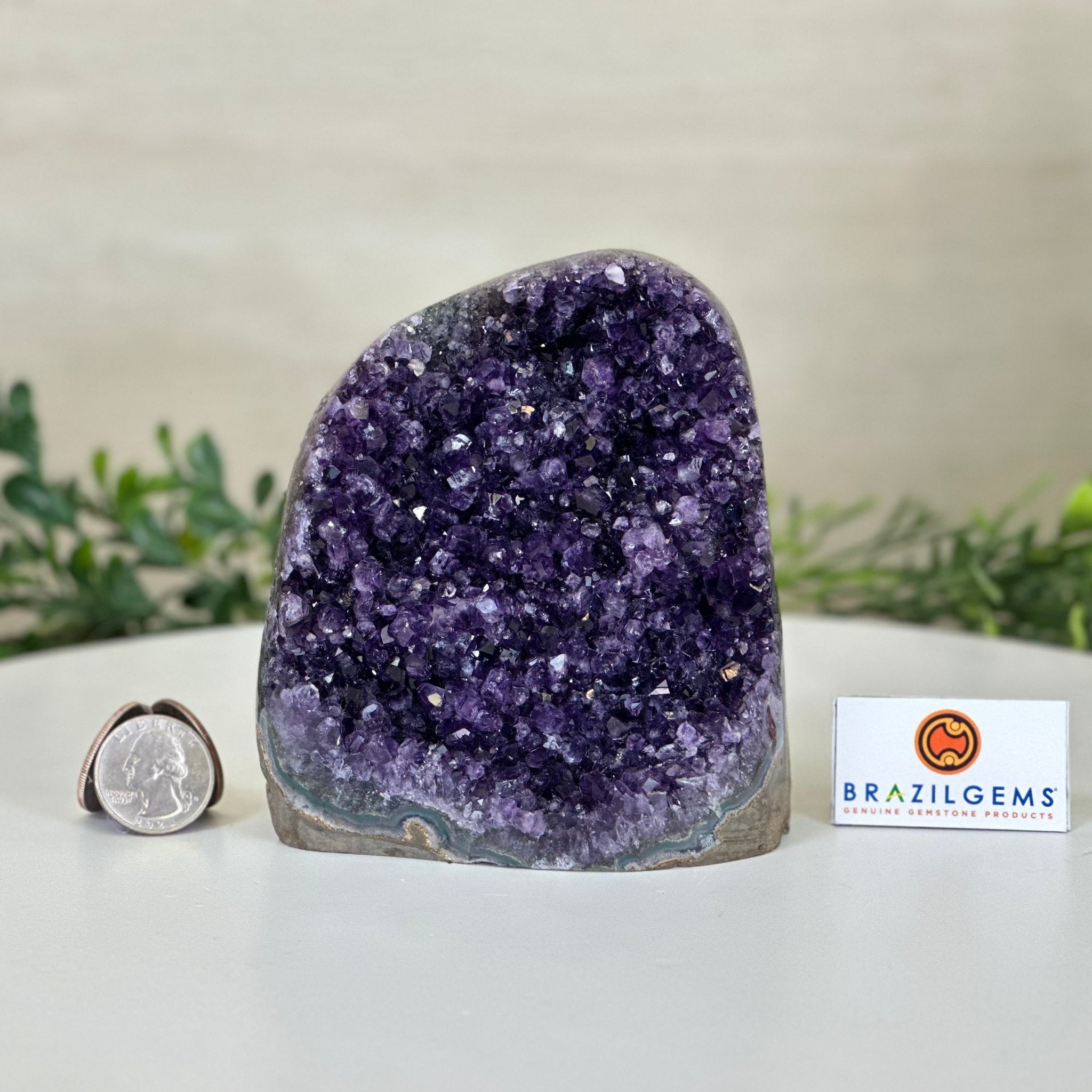 Small Extra Plus Quality Amethyst Cluster Flat Base, 4.7" Tall 5611 - 0924 - Brazil GemsBrazil GemsSmall Extra Plus Quality Amethyst Cluster Flat Base, 4.7" Tall 5611 - 0924Small Clusters with Flat Bases5611 - 0924