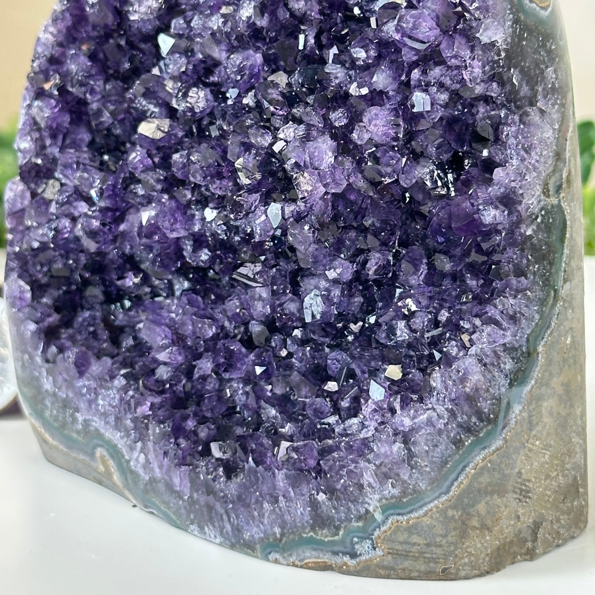 Small Extra Plus Quality Amethyst Cluster Flat Base, 4.7" Tall 5611 - 0924 - Brazil GemsBrazil GemsSmall Extra Plus Quality Amethyst Cluster Flat Base, 4.7" Tall 5611 - 0924Small Clusters with Flat Bases5611 - 0924