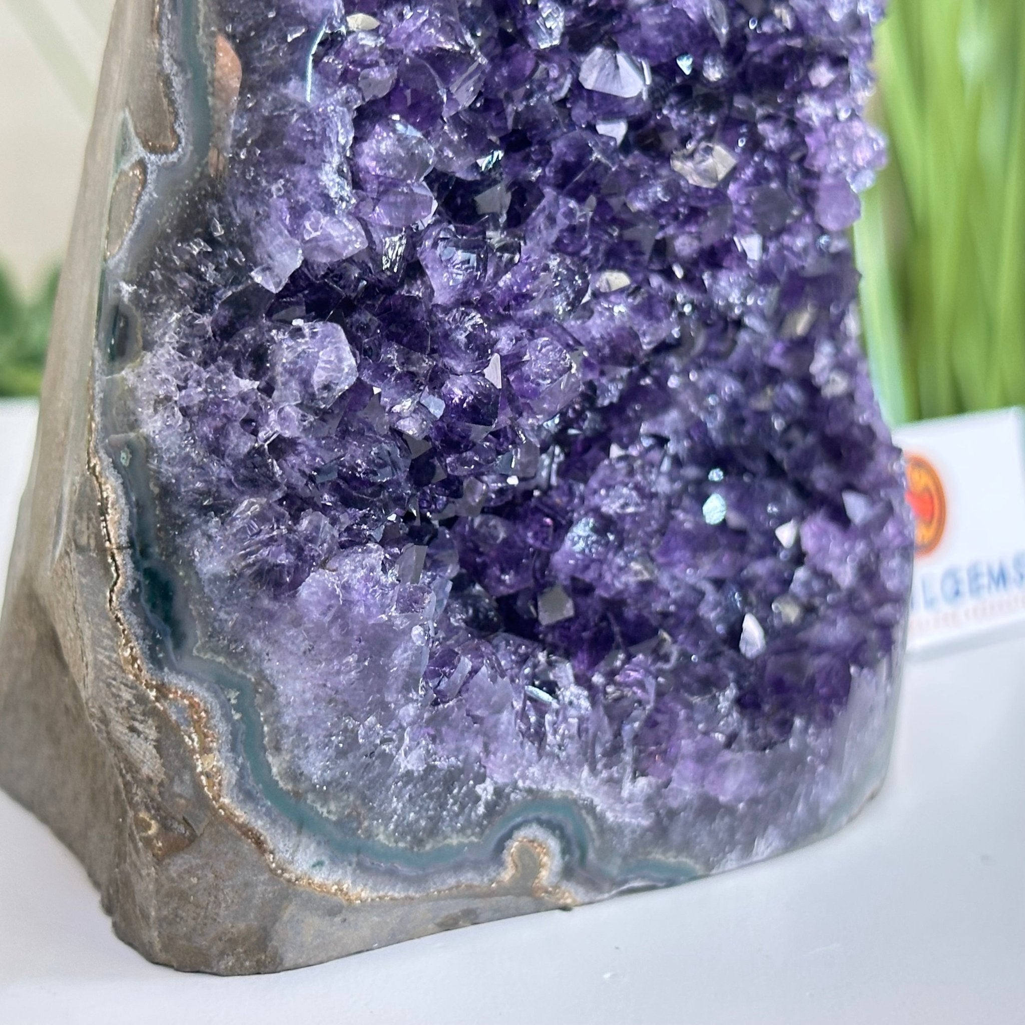 Small Extra Plus Quality Amethyst Cluster Flat Base, 4.7" Tall 5611 - 0924 - Brazil GemsBrazil GemsSmall Extra Plus Quality Amethyst Cluster Flat Base, 4.7" Tall 5611 - 0924Small Clusters with Flat Bases5611 - 0924